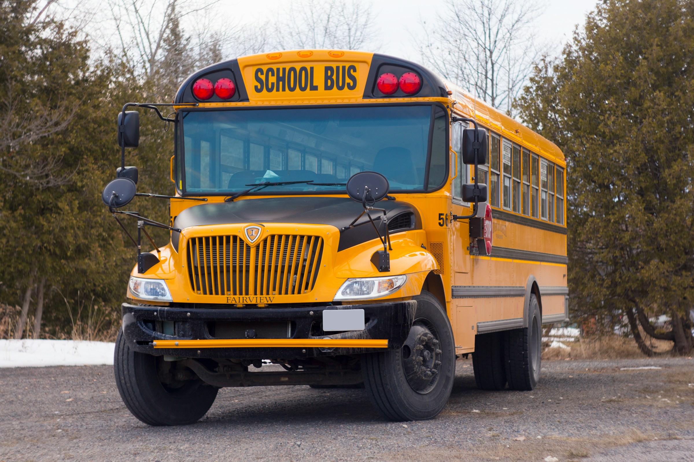 Un bus scolaire jaune | Source : Unsplash