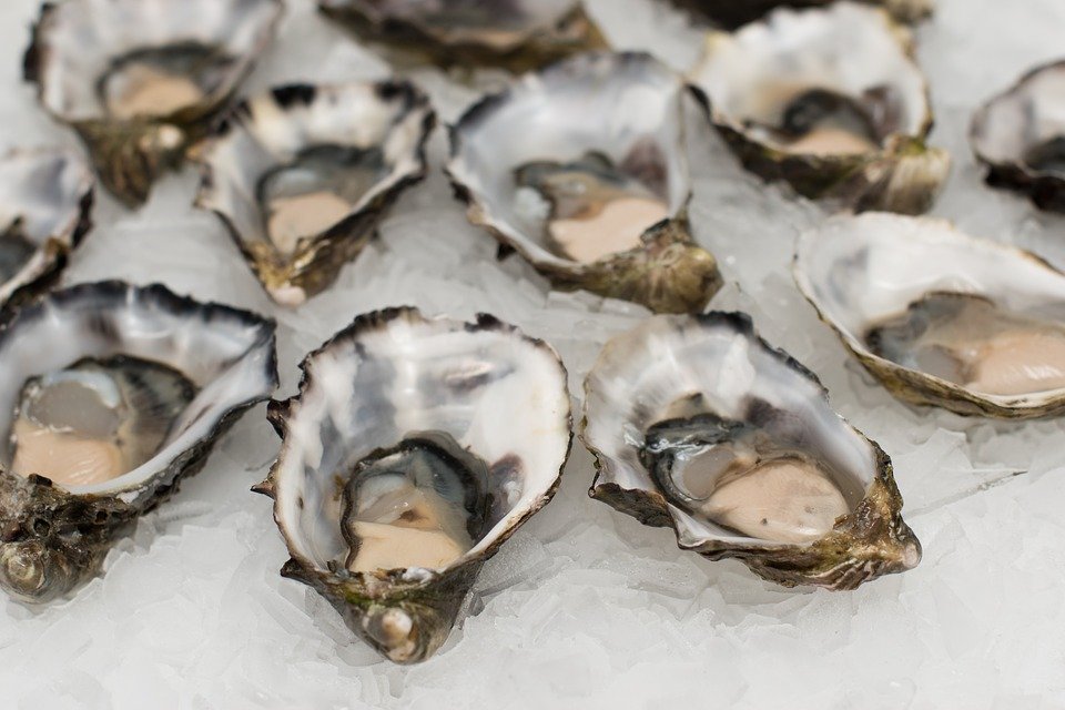 Des huîtres | image : Pixabay