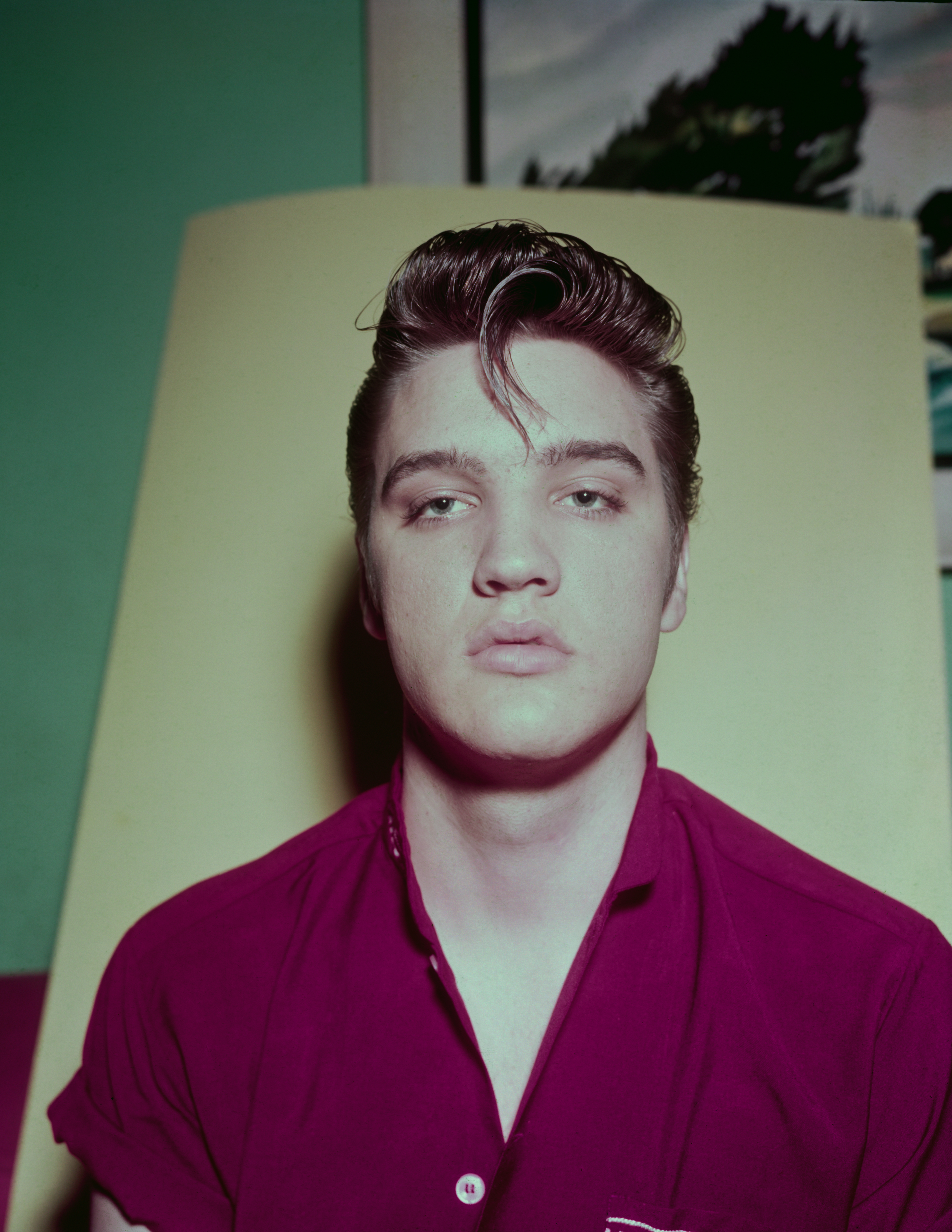 Le chanteur et acteur américain Elvis Presley, vers 1957. | Source : Getty Images