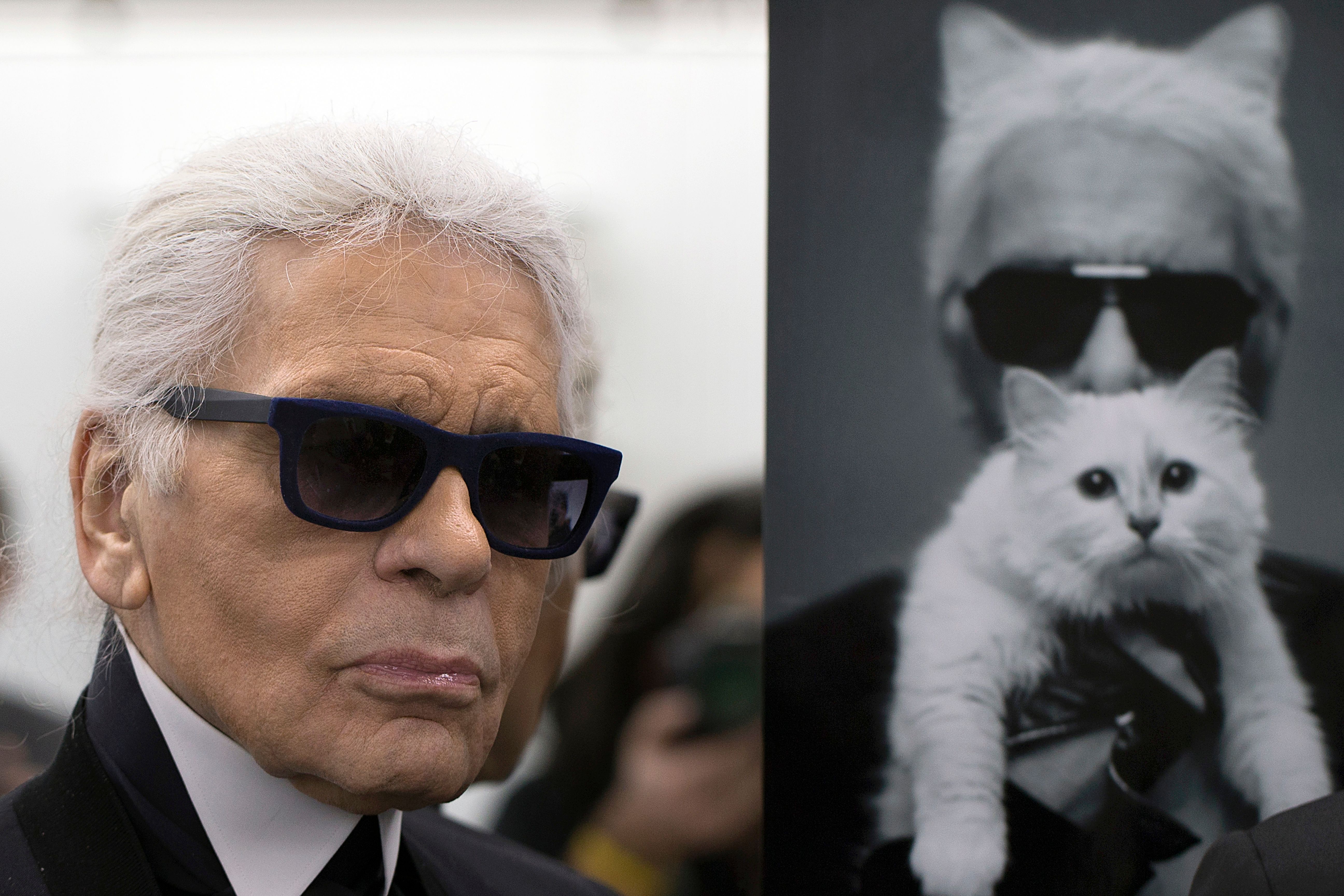 Le créateur de mode allemand Karl Lagerfeld pose à côté d'une photo de lui et de sa chatte Choupette lors d'une visite des ateliers qui travaillent pour Chanel à Pantin, à Paris, le 7 février 2014. | Source : Getty Images