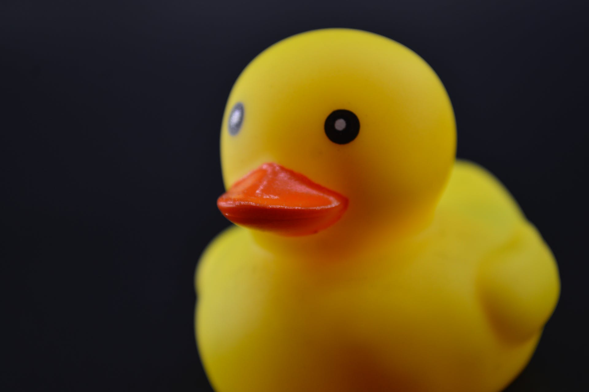 Un patito de goma | Fuente: Pexels