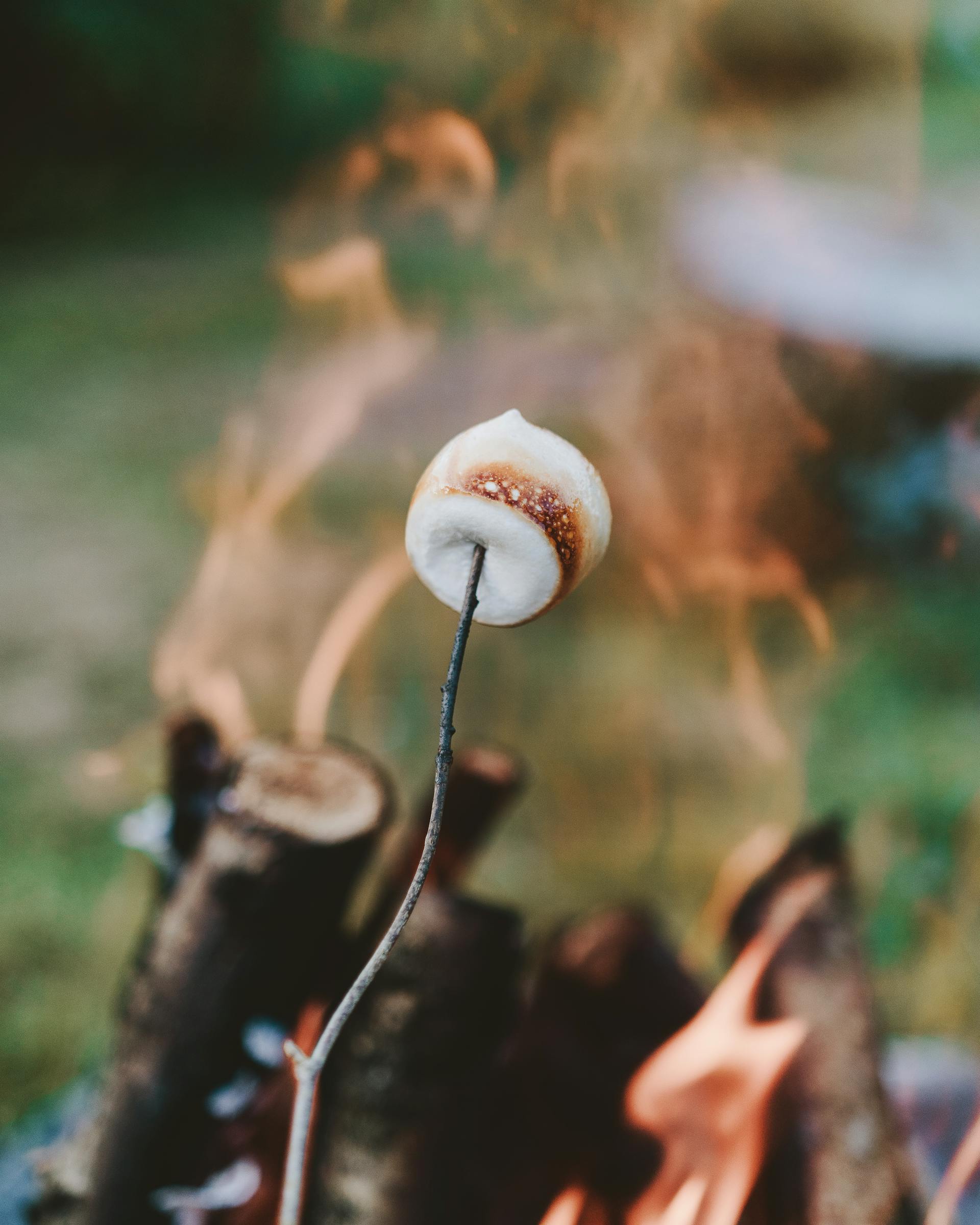 Un marshmallow en train d'être grillé | Source : Pexels