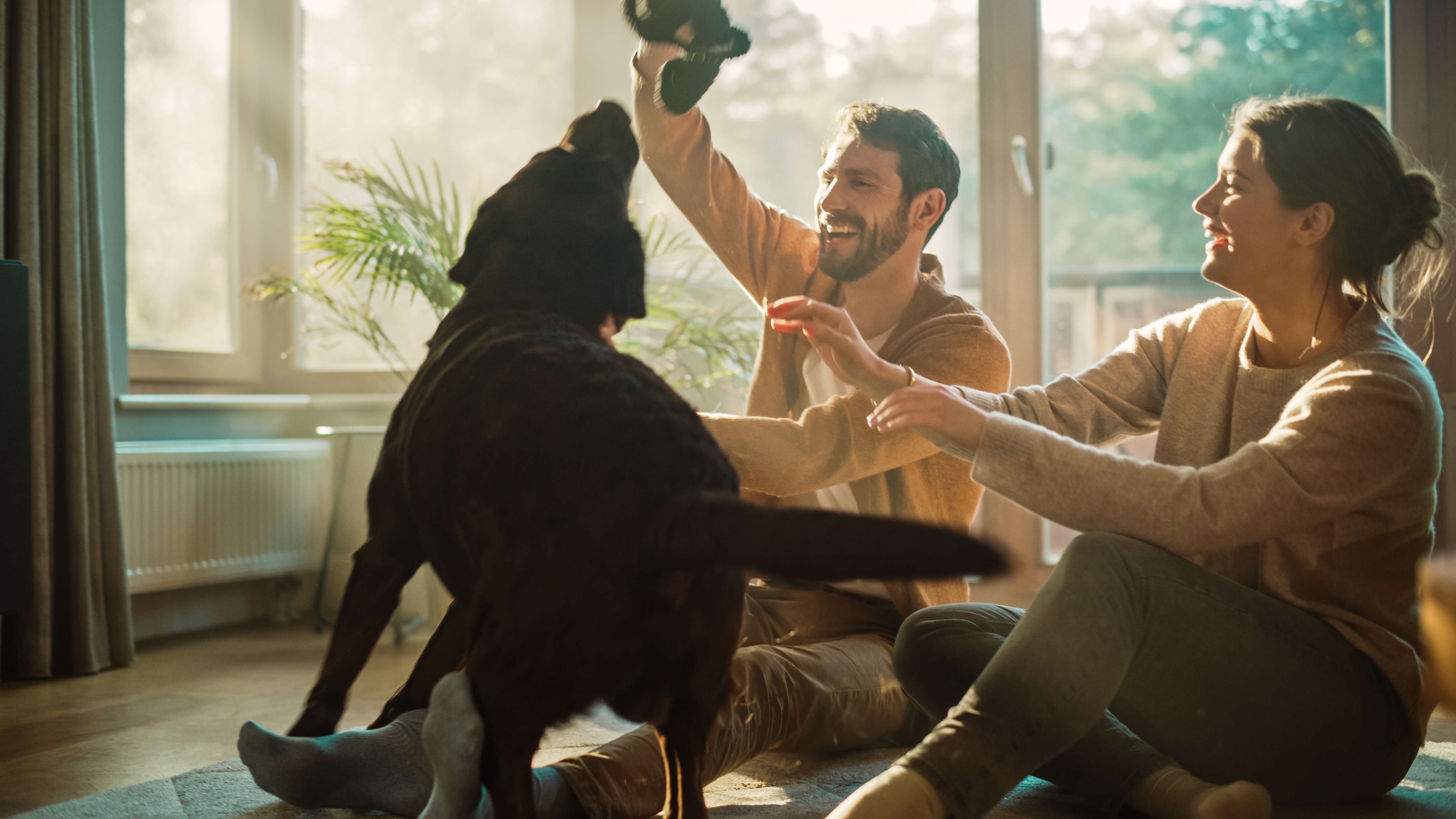 Un jeune couple passe un agréable moment à jouer avec son chien à la maison | Source : Shutterstock