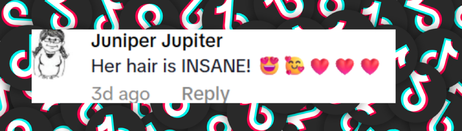 Un commentaire de fan daté du 18 juin 2025 | Source : TikTok/PinkNews