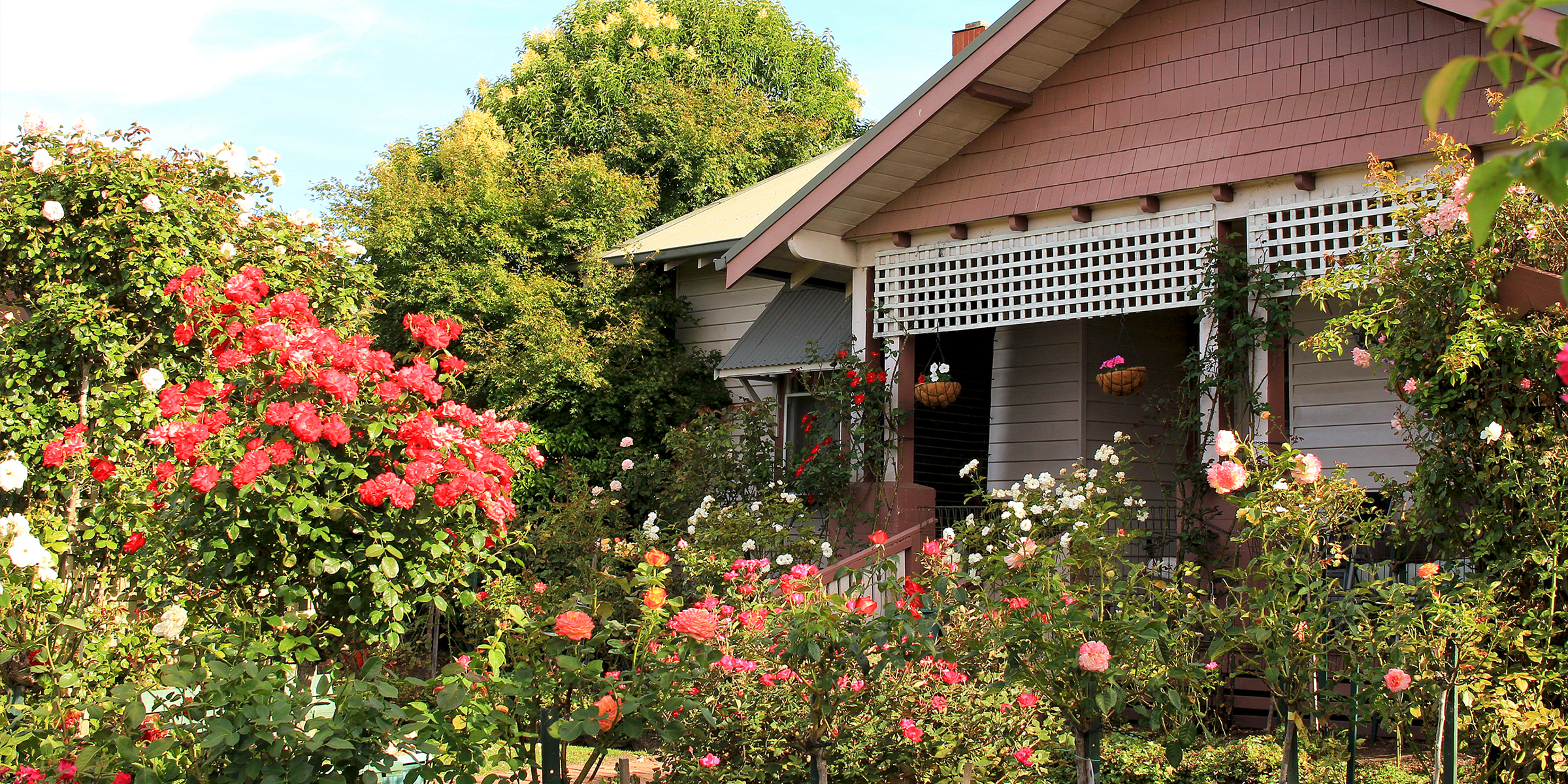 Un beau jardin à l'extérieur d'une maison de banlieue | Source : Shutterstock