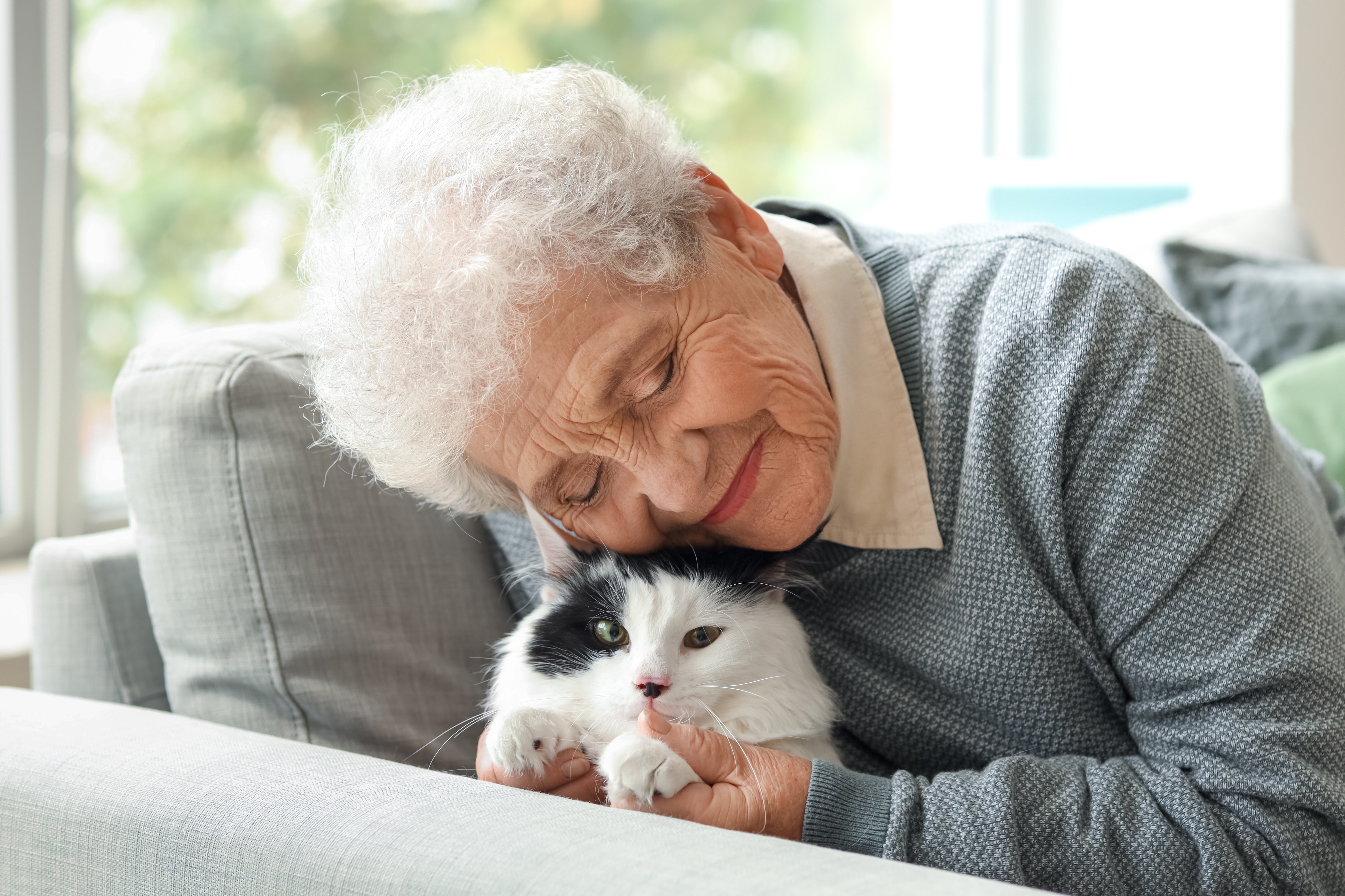 Une femme âgée avec son adorable chat | Source : Shutterstock