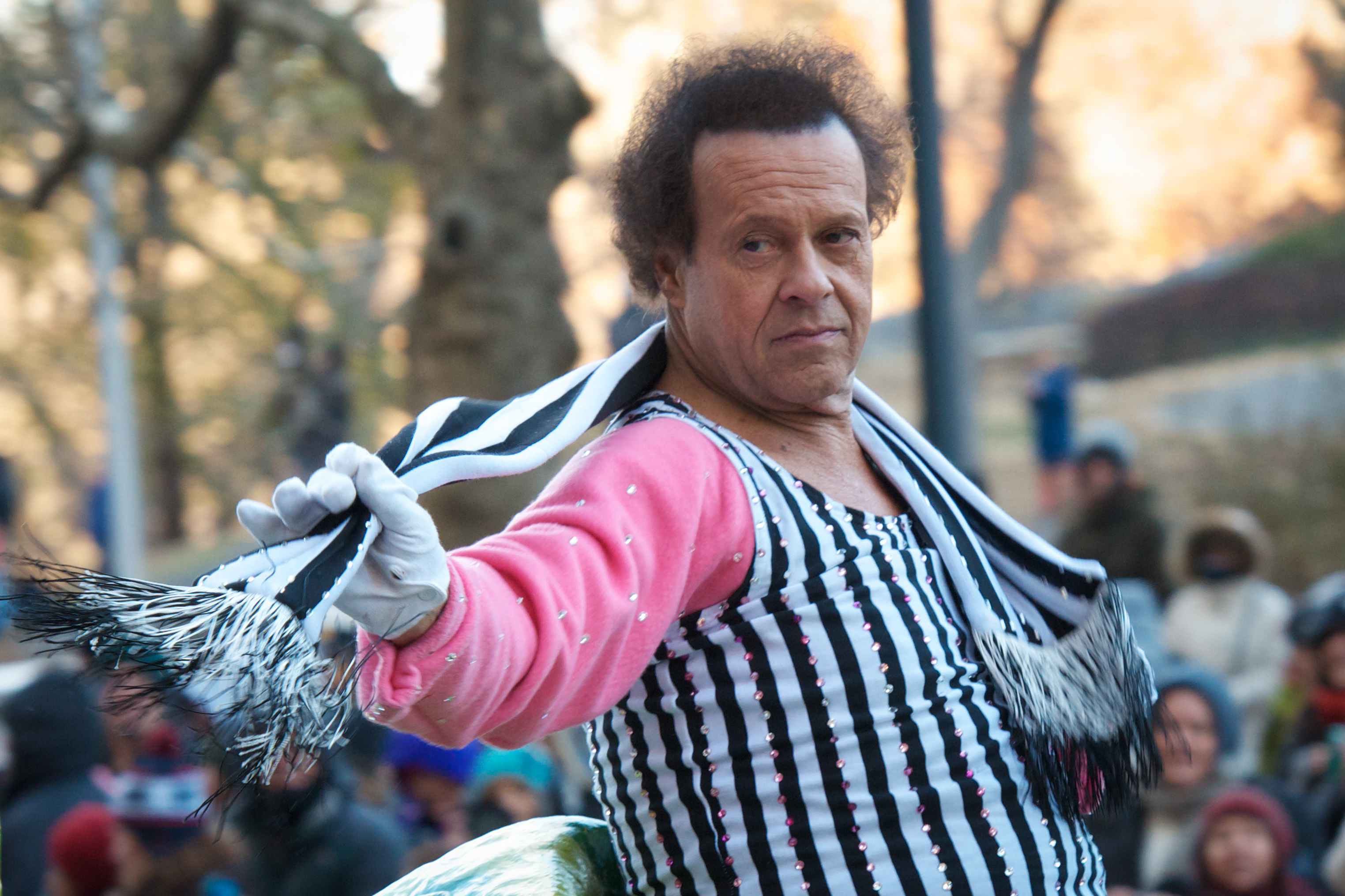 Richard Simmons assiste à la 87e parade annuelle de Macy's Thanksgiving Day le 28 novembre 2013 | Source : Getty Images