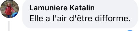 Commentaire d'internaute sur le look de Charlotte Gainsbourg au Festival de Cannes | Source : capture réseaux sociaux