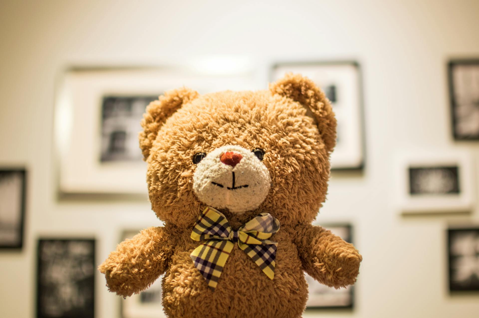 Un ours en peluche brun | Source : Pexels