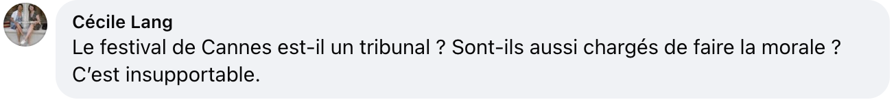 Capture d'écran du commentaire d'un internaute I Source : Facebook
