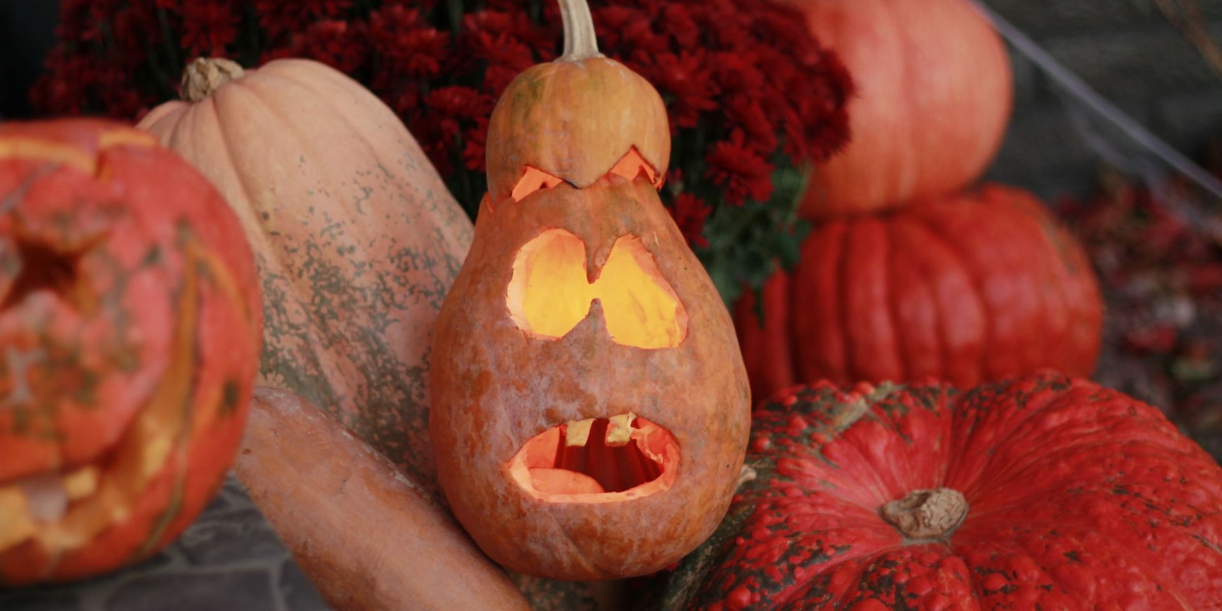 Décorations d'Halloween | Source : Pexels
