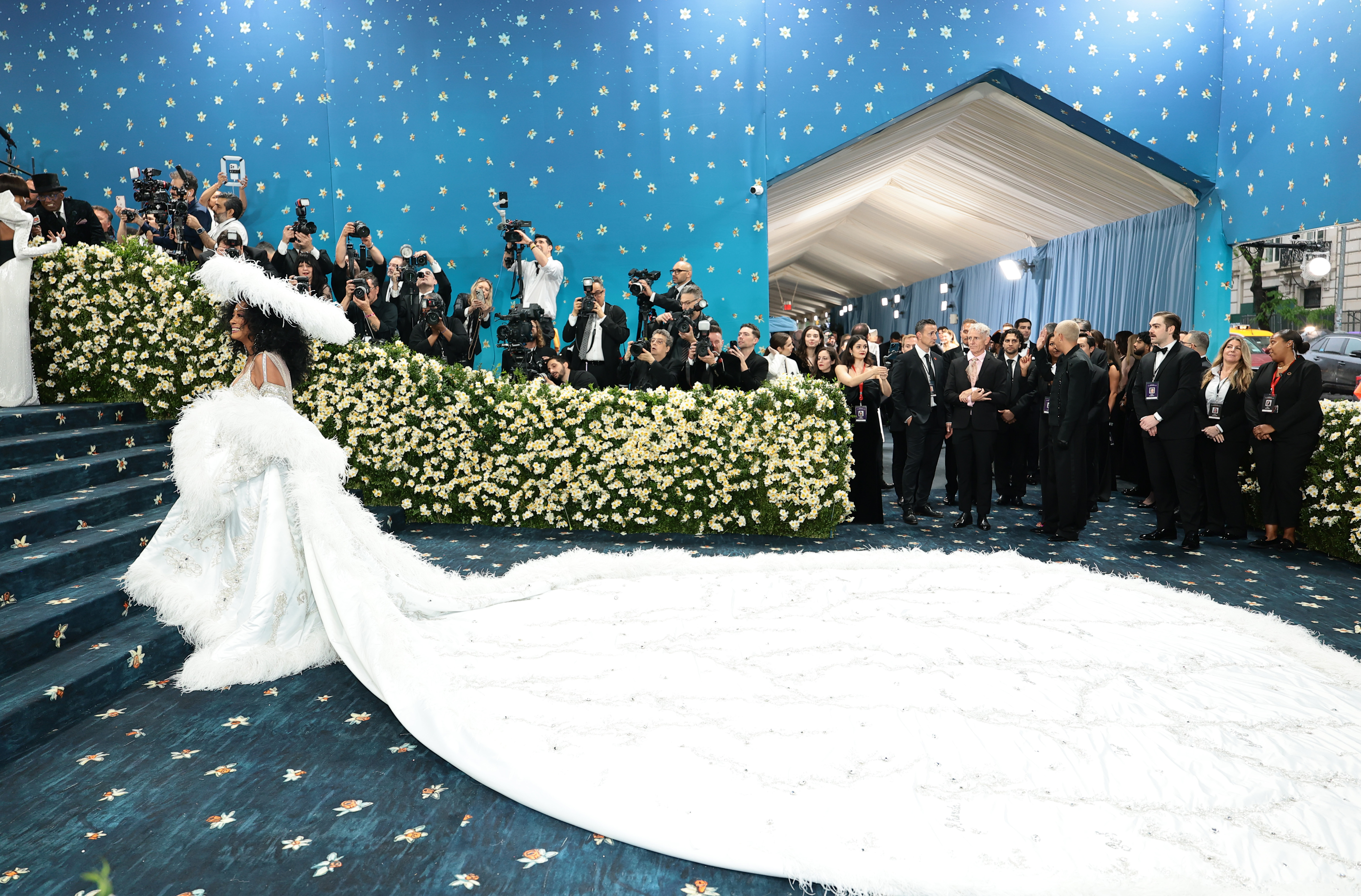 Ross se tient dans toute sa gloire, dos à l'entrée du Met Gala, alors qu'elle profite de l'instant présent. Les photographes sont alignés sur les côtés, capturant chaque angle, tandis que les spectateurs derrière elle ne peuvent s'empêcher de s'arrêter, certains à mi-pas, complètement captivés par sa présence et la regardant simplement avec admiration.