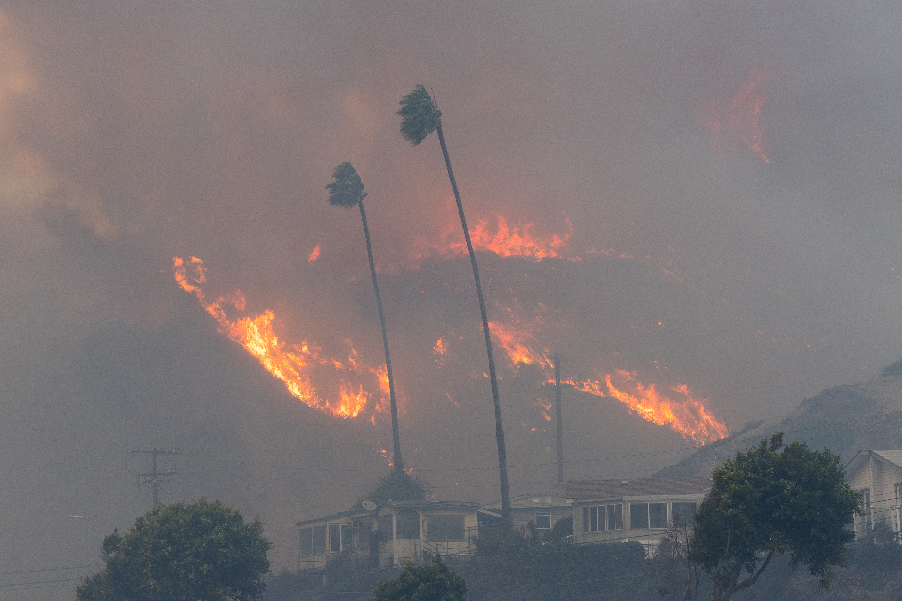 Un feu de broussailles se déclare à Pacific Palisades, en Californie, le 7 janvier 2025. | Source : Getty Images