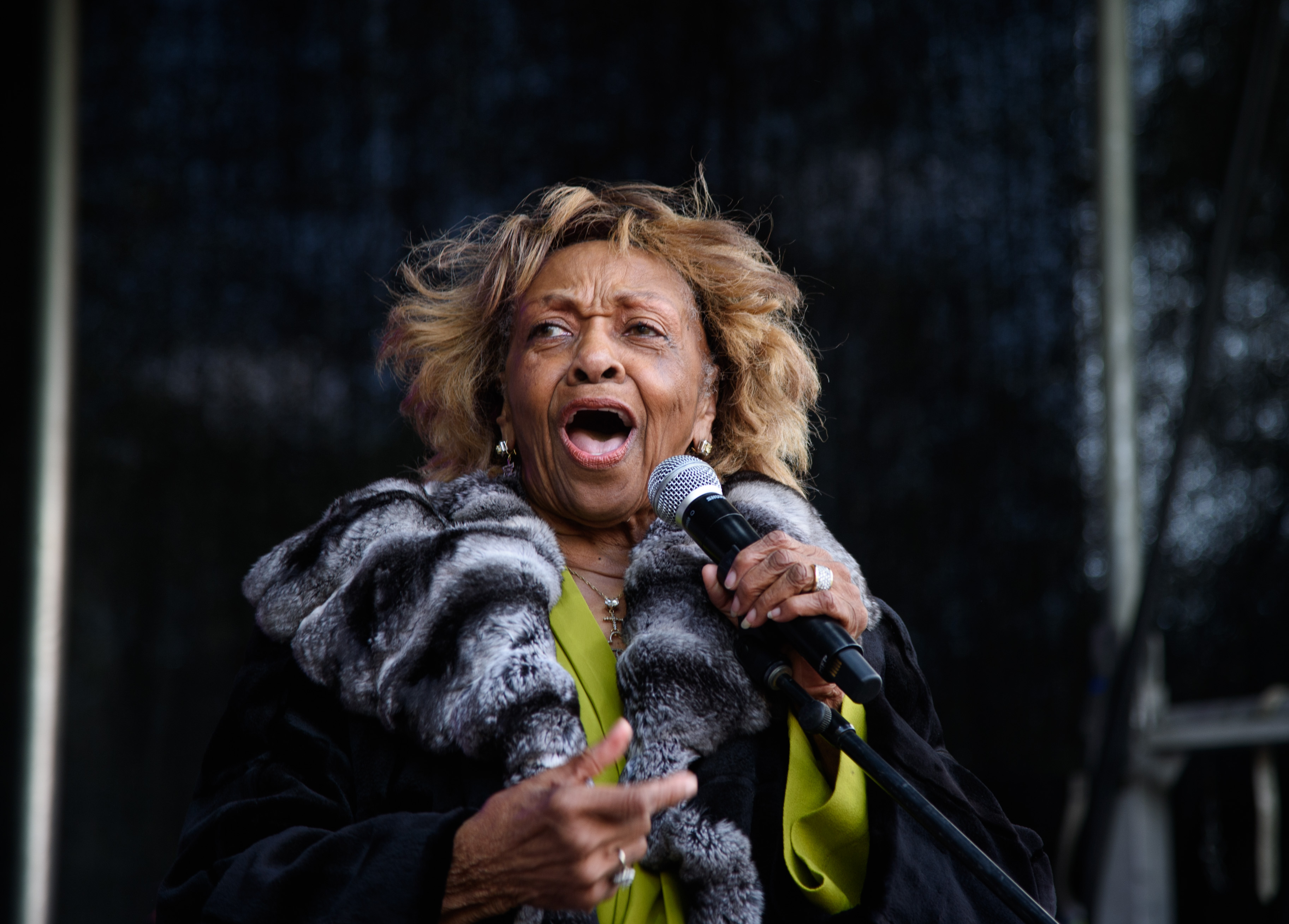 Cissy Houston lors du festival 2016 Newark Celebration 350 Founders Weekend à Newark, dans le New Jersey, le 15 mai 2016 | Source : Getty Images