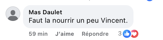 Commentaire d'un internaute I Source : https://www.facebook.com/reel/1403549441563226