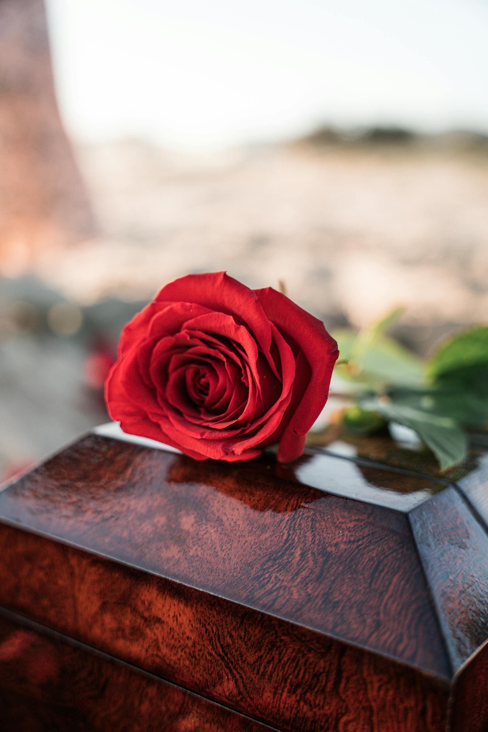 Une rose rouge sur un cercueil | Source : Pexels