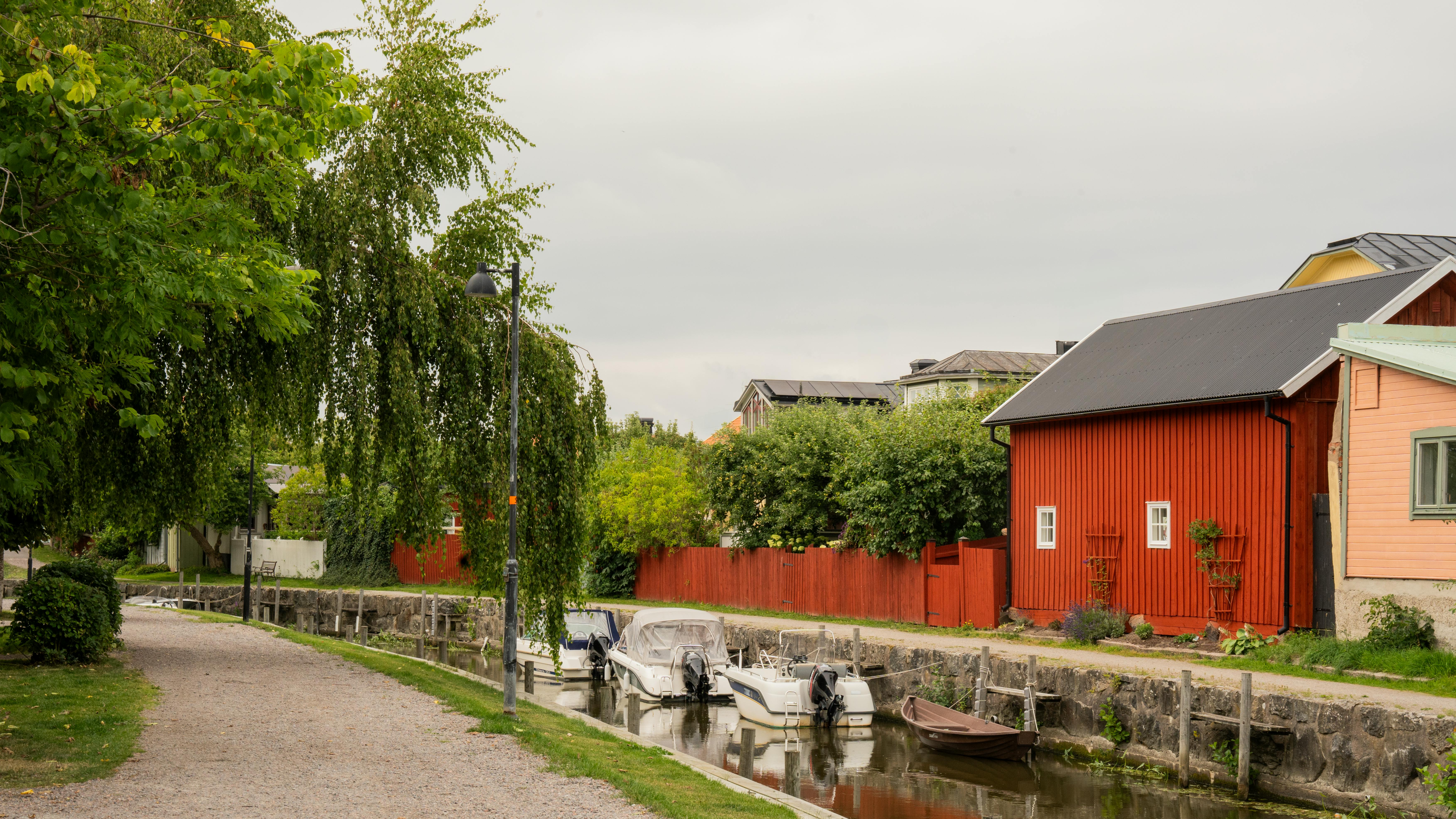 Une maison entourée de bois | Source : Pexels