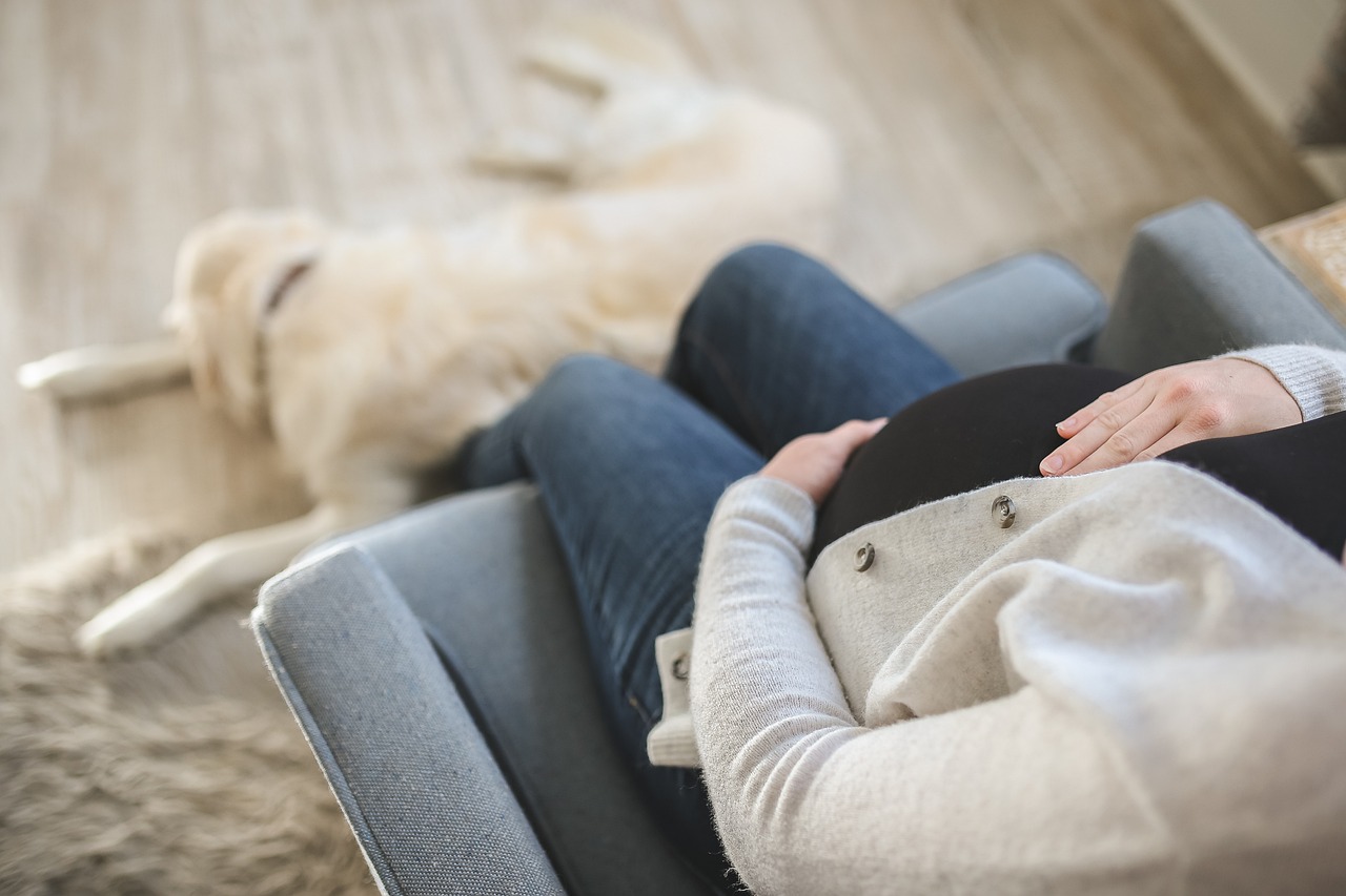 Femme enceinte assise sur une chaise avec un chien à ses pieds | Source : Pixabay