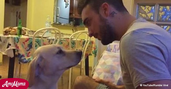 Une vidéo déchirante d'une chienne demandant son pardon est vite devenue virale