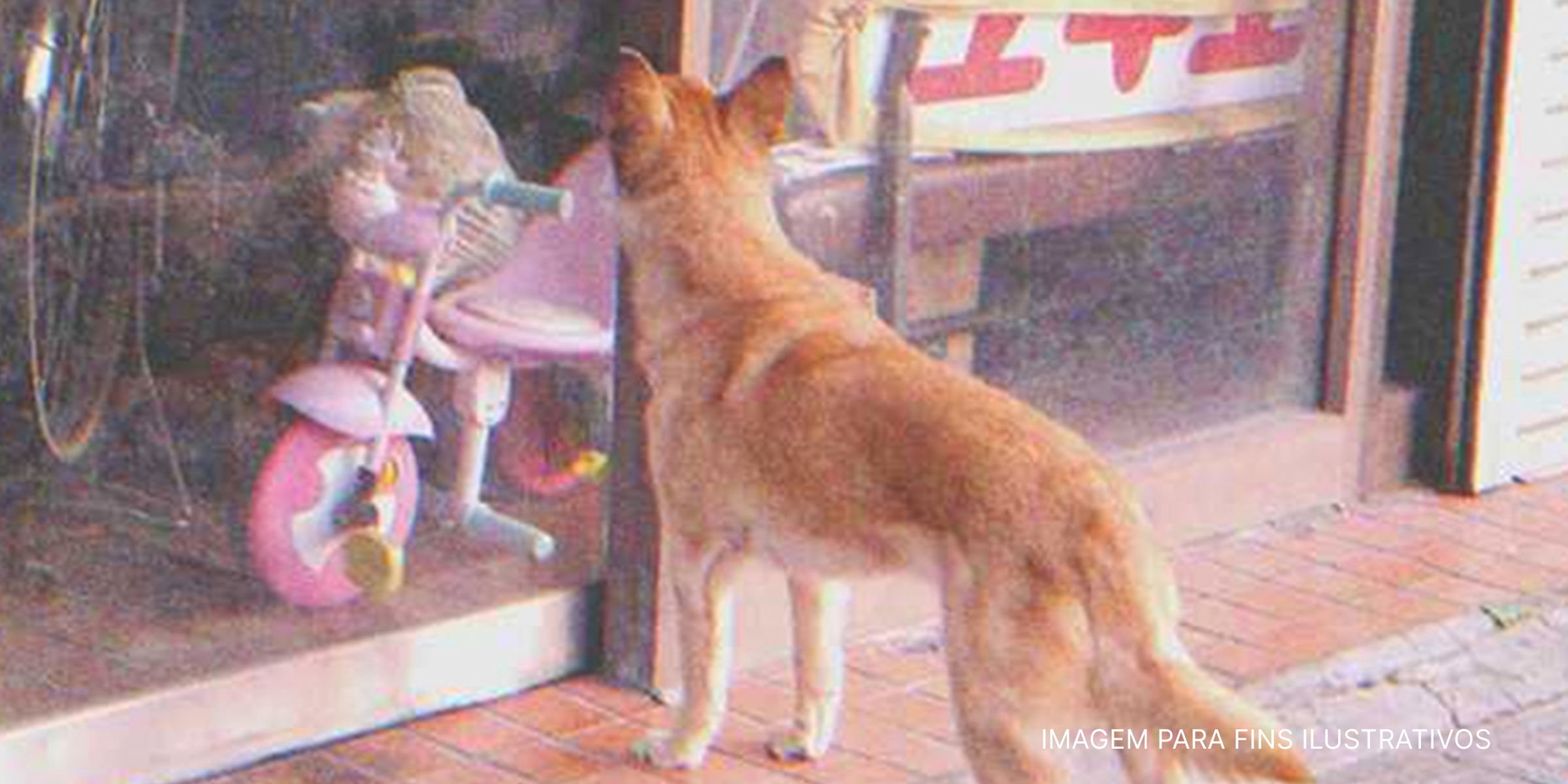 Cachorro fora de uma loja de bicicletas. | Foto: Flickr / Shinichi Sugiyama