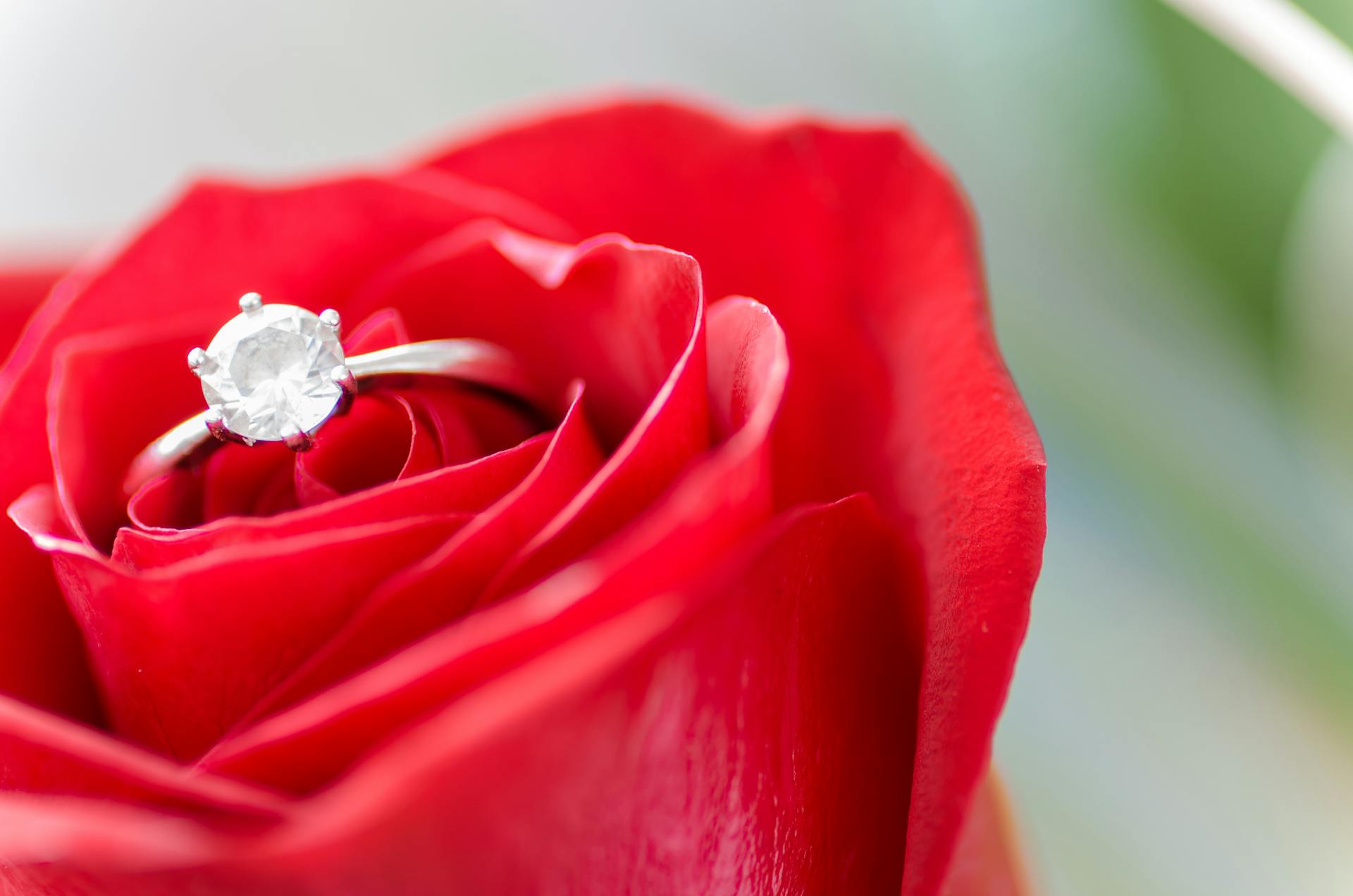 Une bague de fiançailles nichée dans une rose | Source : Pexels