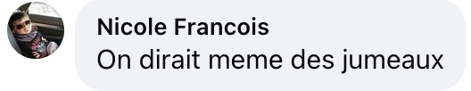 Commentaire d'un internaute | Source : Facebook/Gala