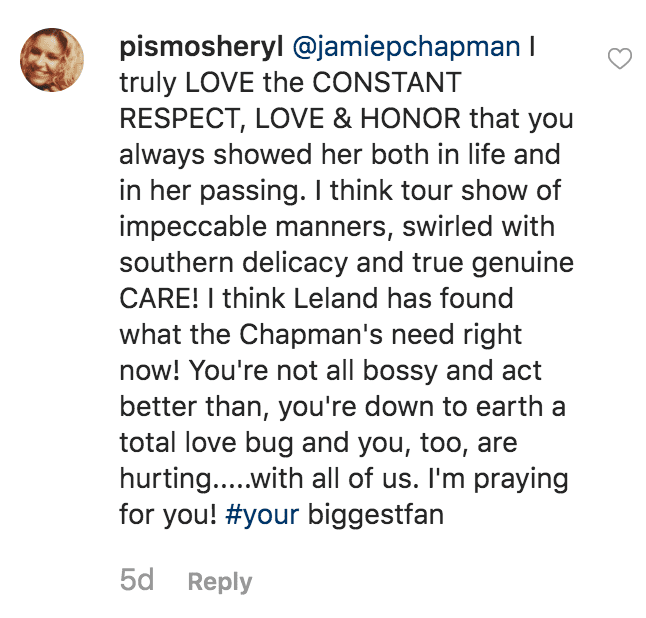 Commentaires de fans sur le post de Jamie Pillar Chapman | Source : Instagram.comjamiepchapman