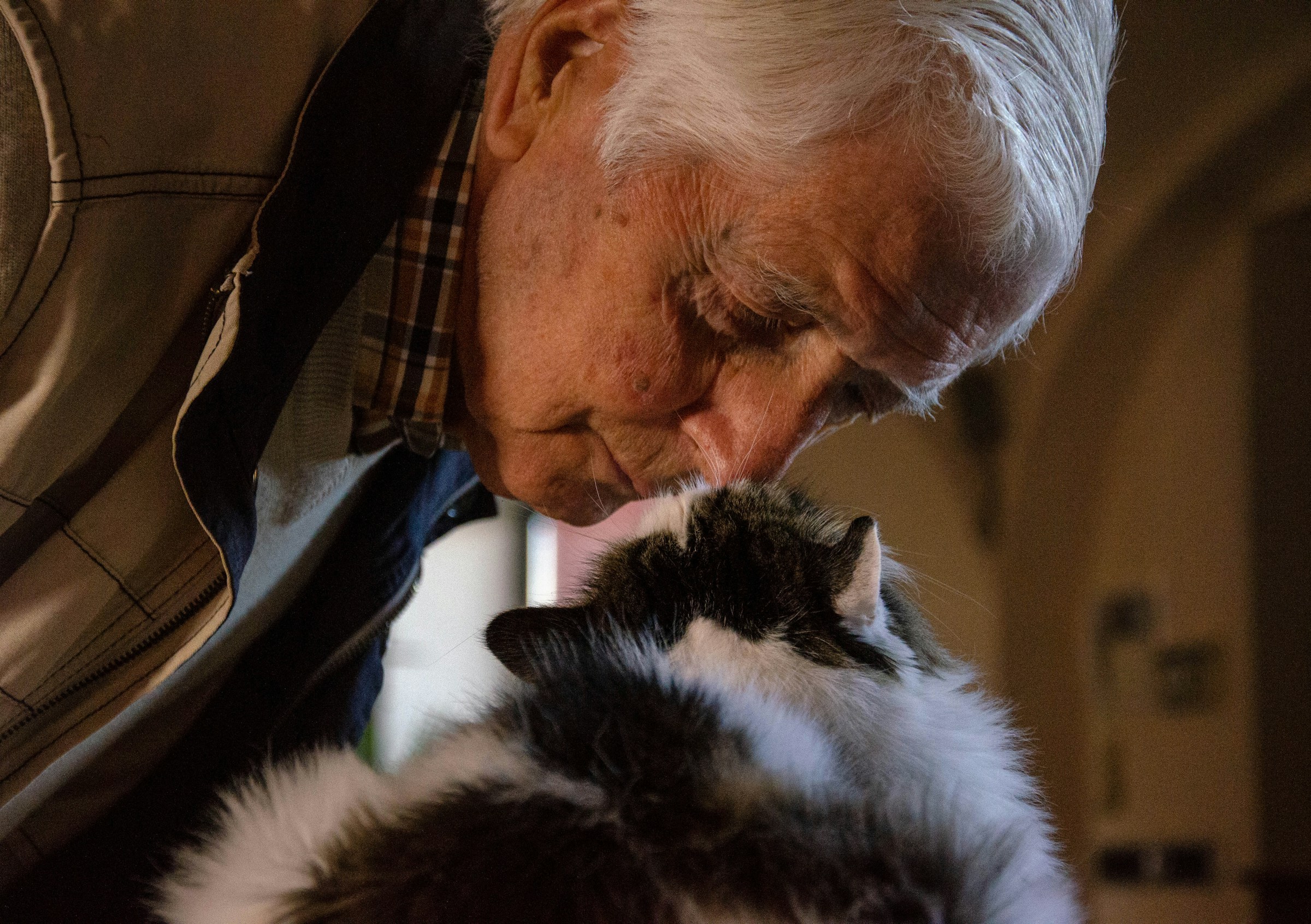 Un vieil homme avec un chat | Source : Unsplash