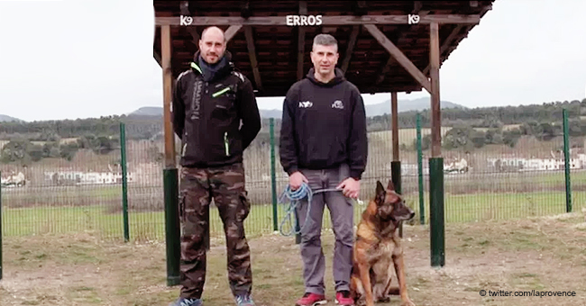 Deux policiers ont lancé une cagnotte en ligne pour construire une "maison de retraite" pour les chiens de police