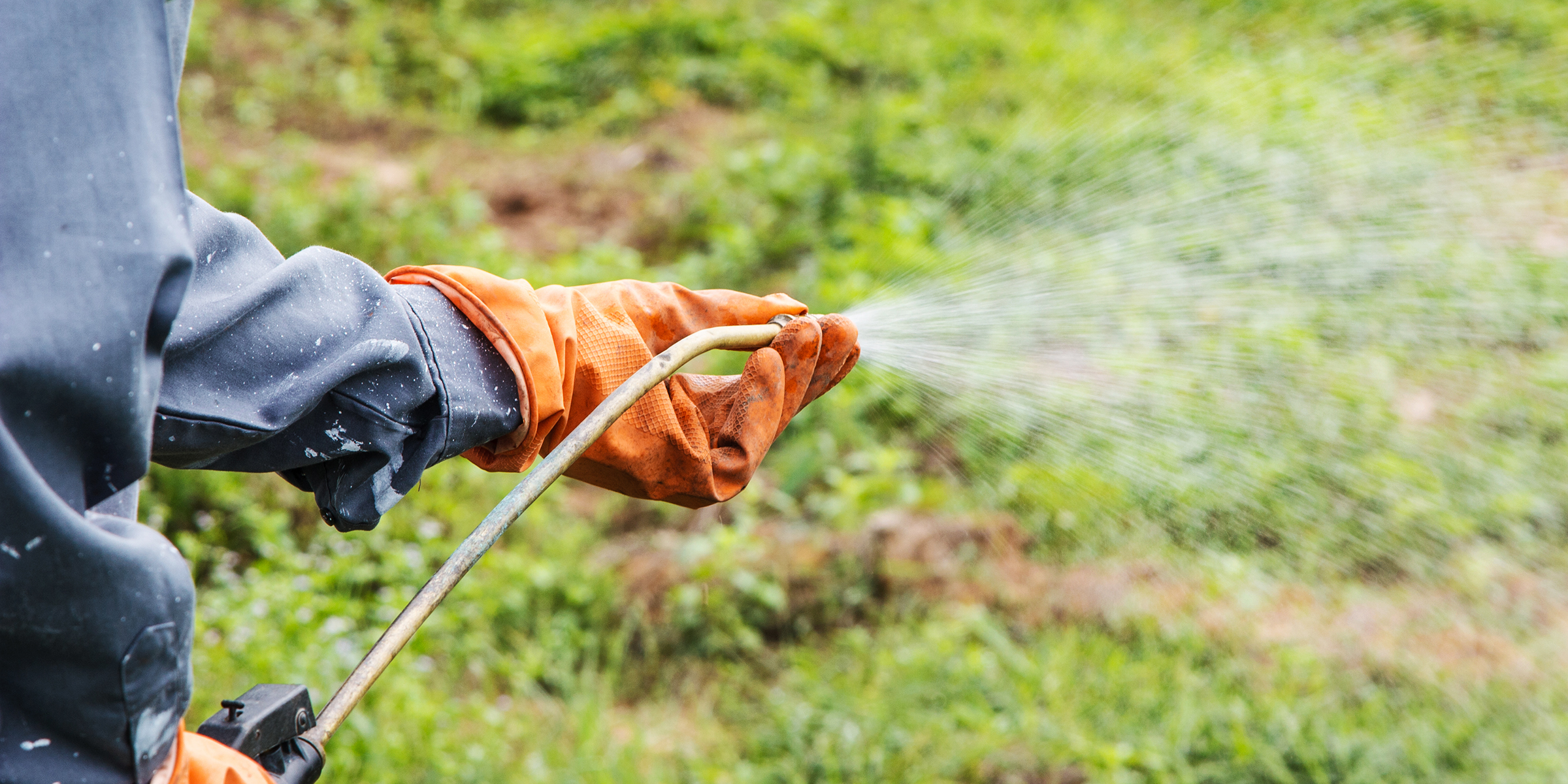 Une personne pulvérisant des produits chimiques | Source : Shutterstock