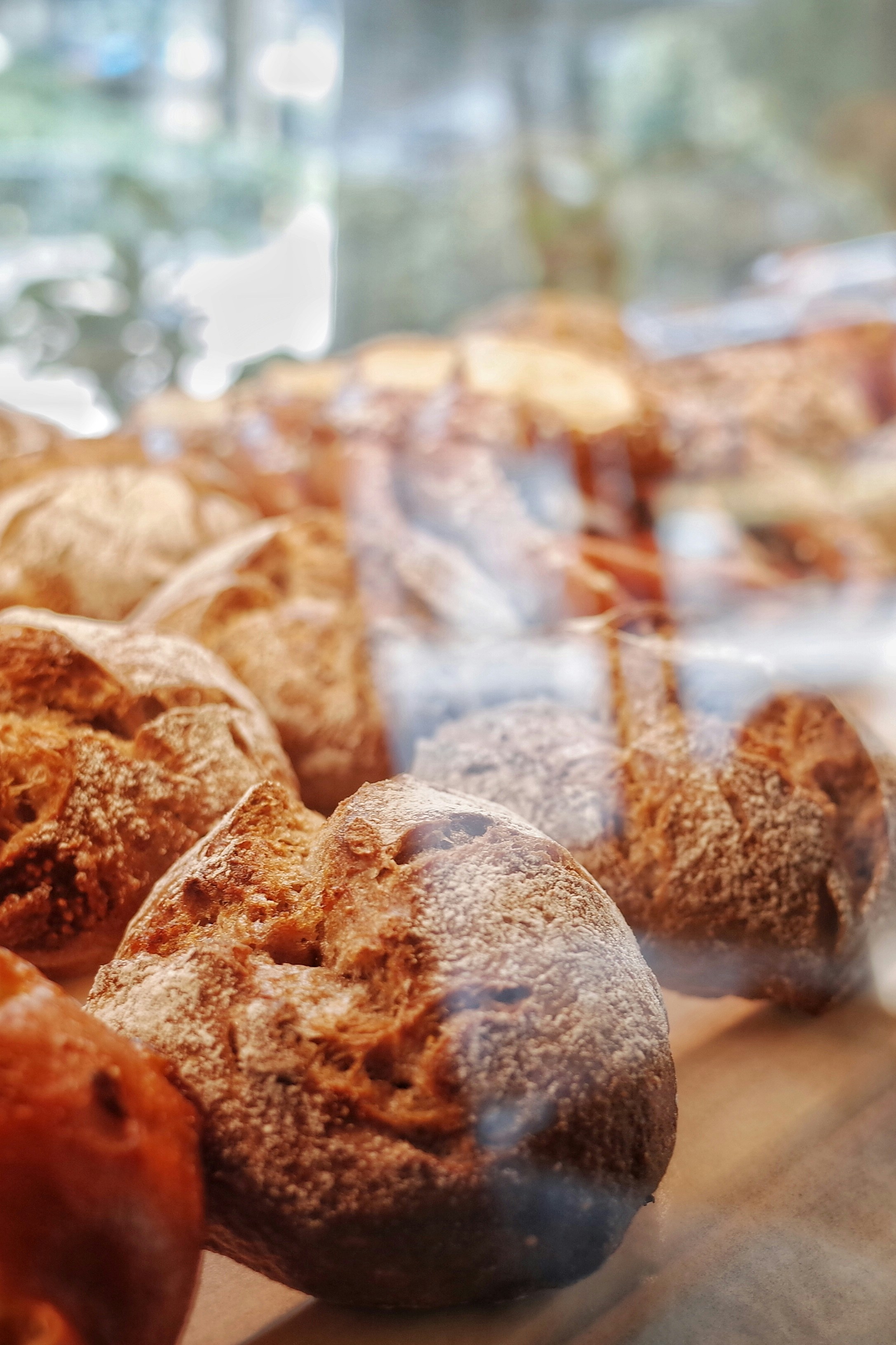 Gros plan sur des petits pains exposés dans une boulangerie | Source : Unsplash