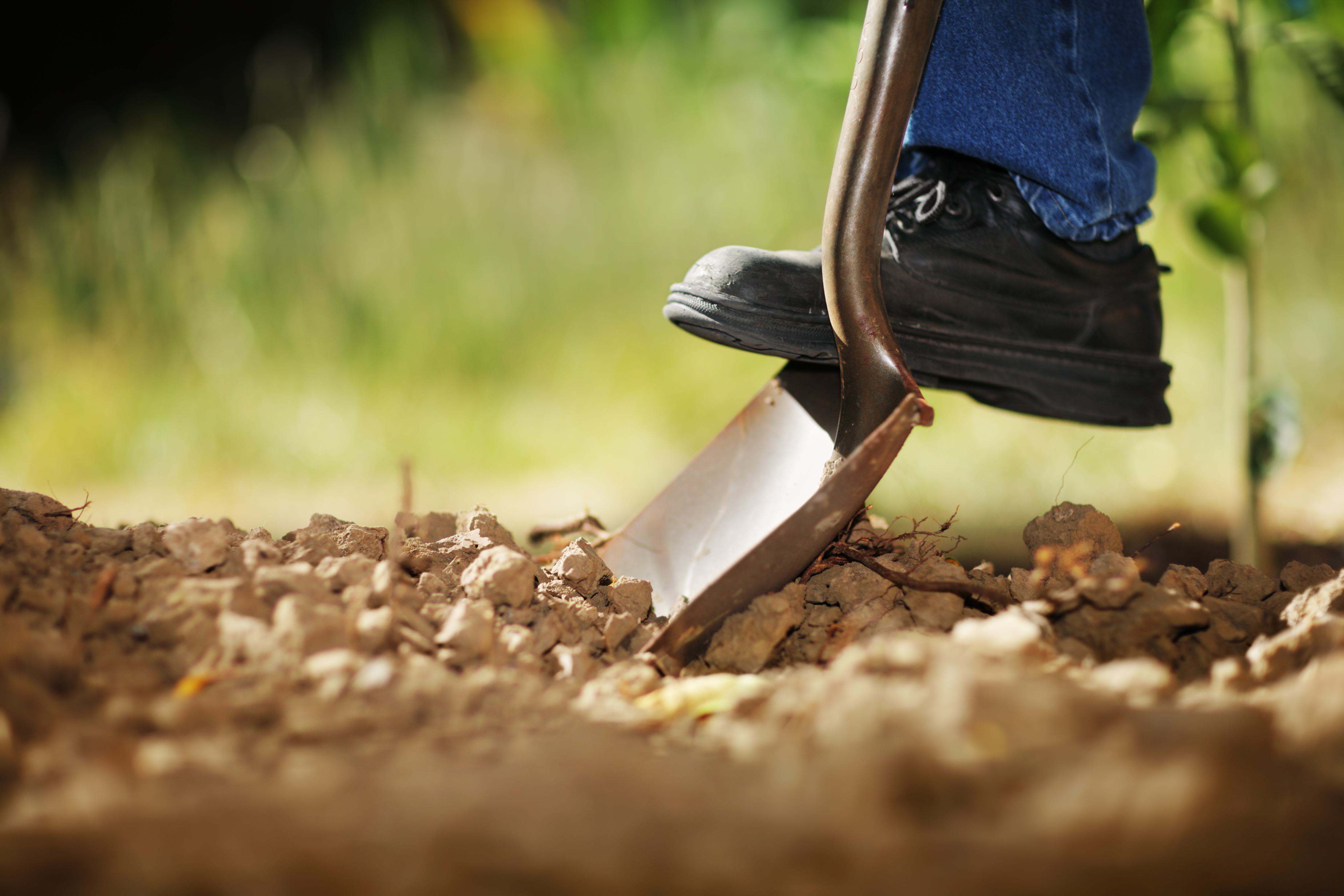 Personne creusant la terre avec une pelle | Source : Shutterstock