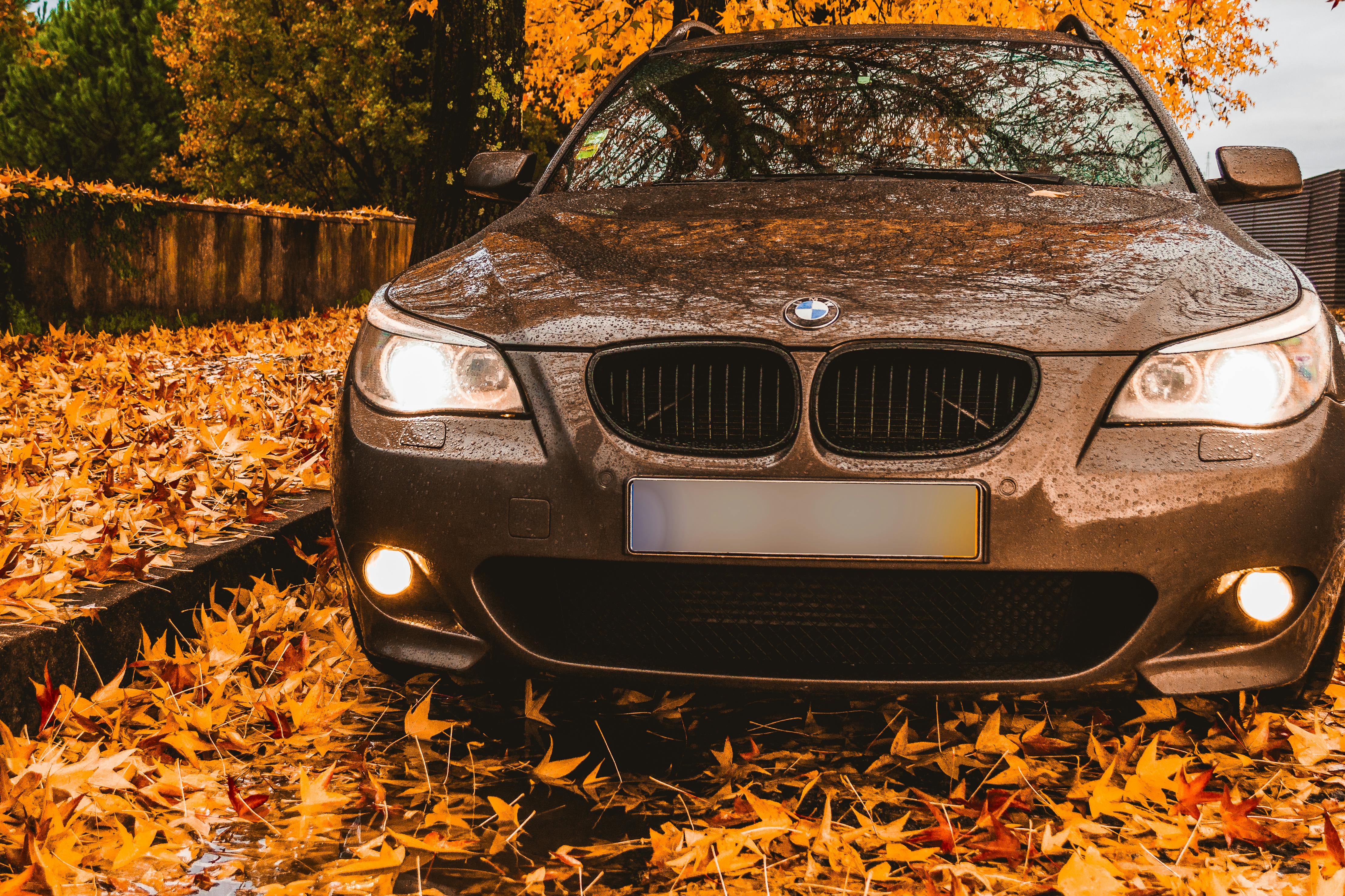 Une voiture se gare dans l'allée | Source : Pexels