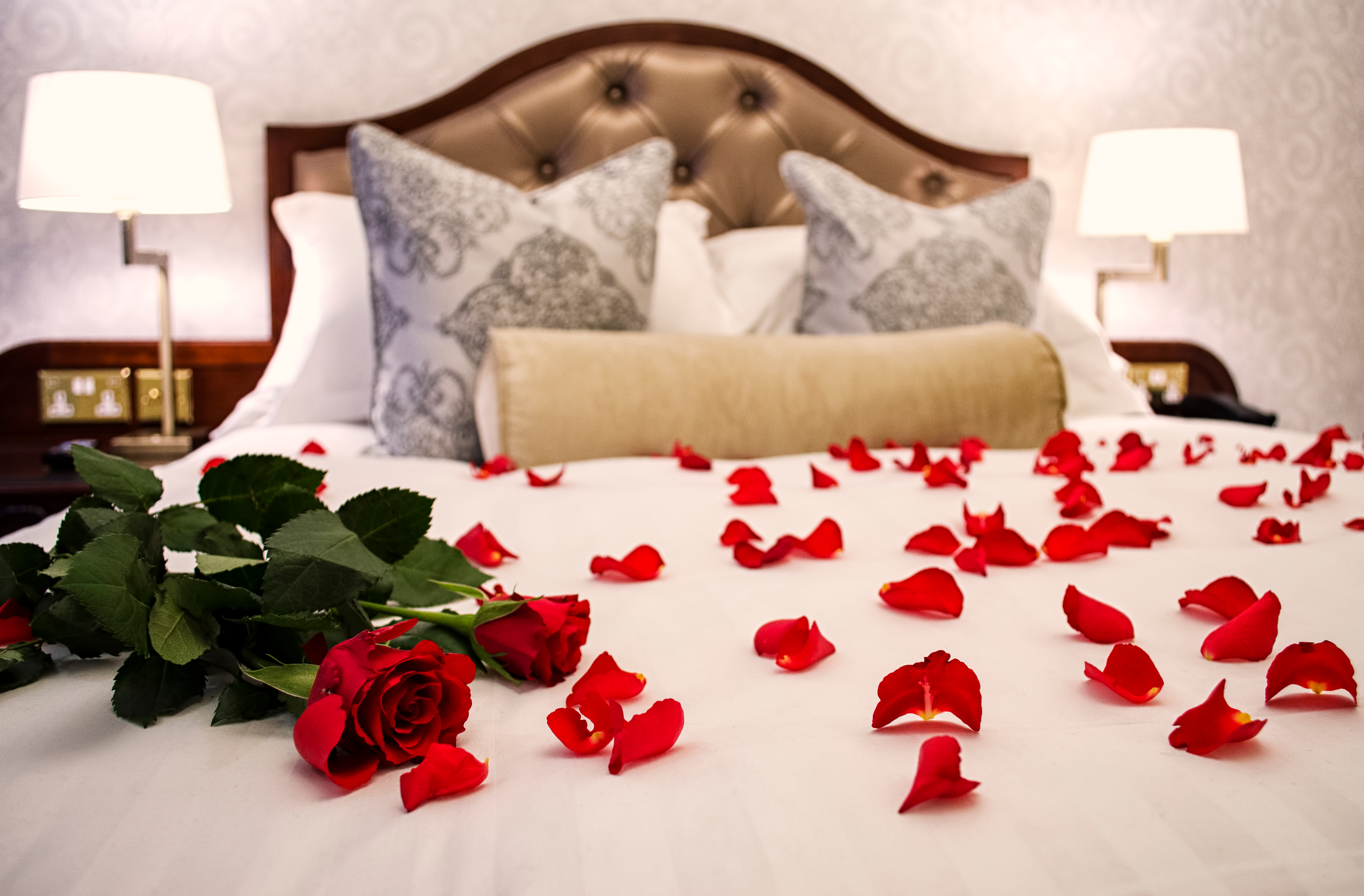 Pétales de roses sur un lit aux draps blancs | Source : Shutterstock
