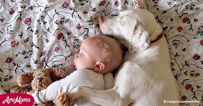 Un chien qui a été abusé par sa famille a trouvé ses premiers amis. Les adorables photos sont devenues virales