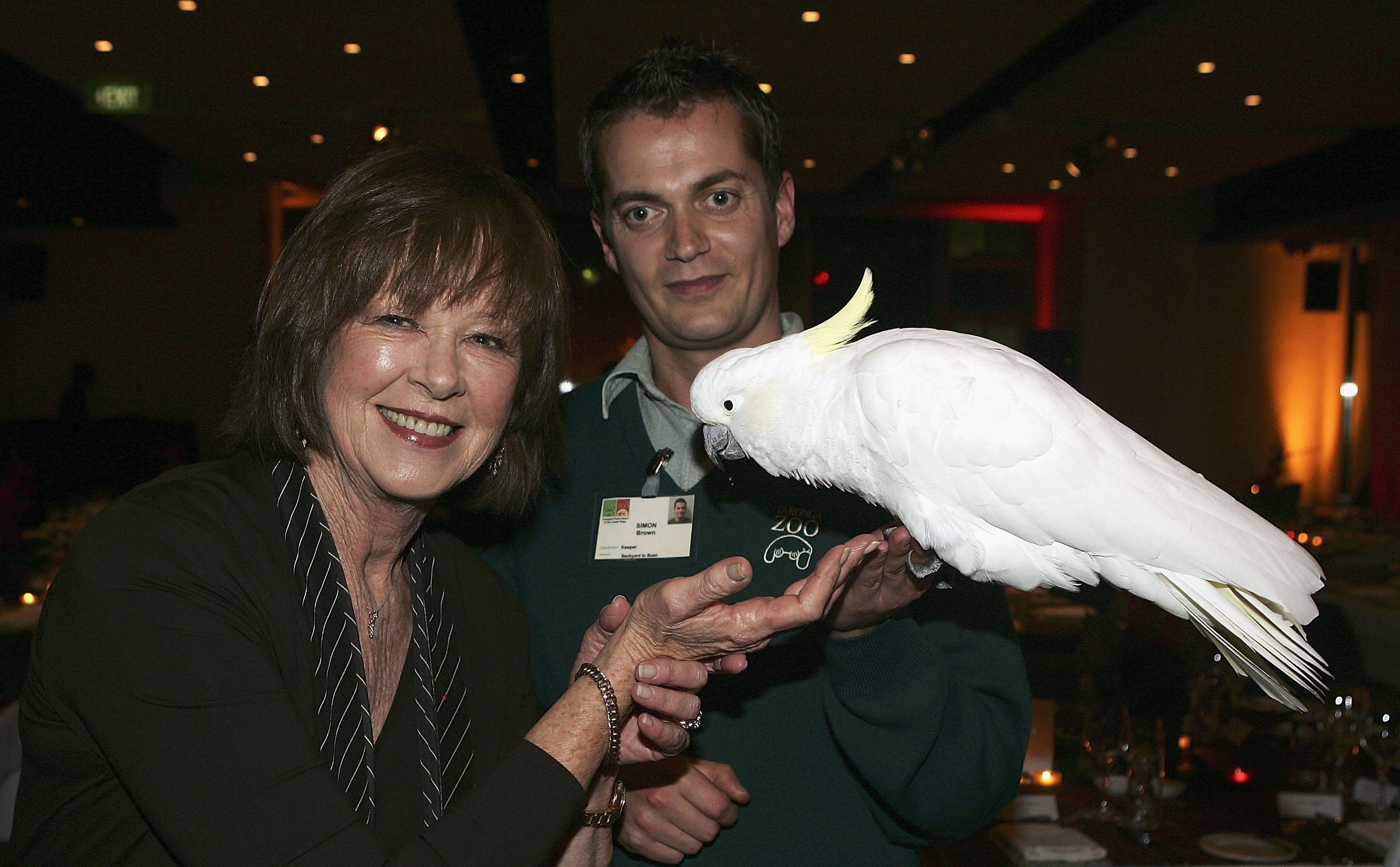 Janelle Anne Kidman essaie de nourrir Elliot, le cacatoès blanc détenu par le gardien de zoo Simon Brown, le 30 juin 2005, à Sydney, en Australie | Source : Getty Images