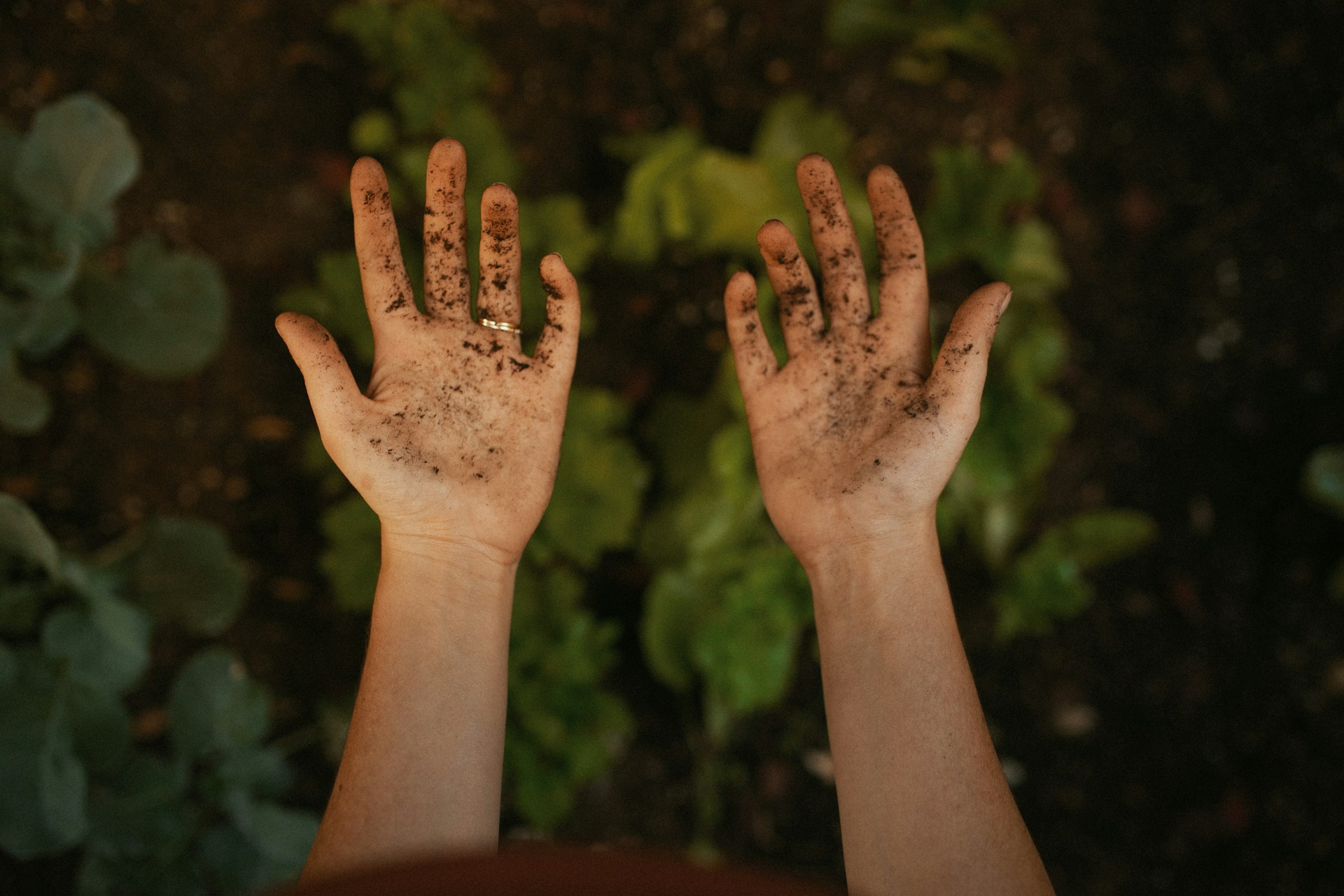 Une personne exhibant ses mains sales | Source : Unsplash