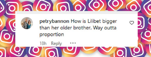 Un commentaire de fan sur l'apparition du prince Archie et de la princesse Lilibet sur la carte de vacances de leur famille, tiré d'un post daté du 16 décembre 2024 | Source : Instagram/hellomagus