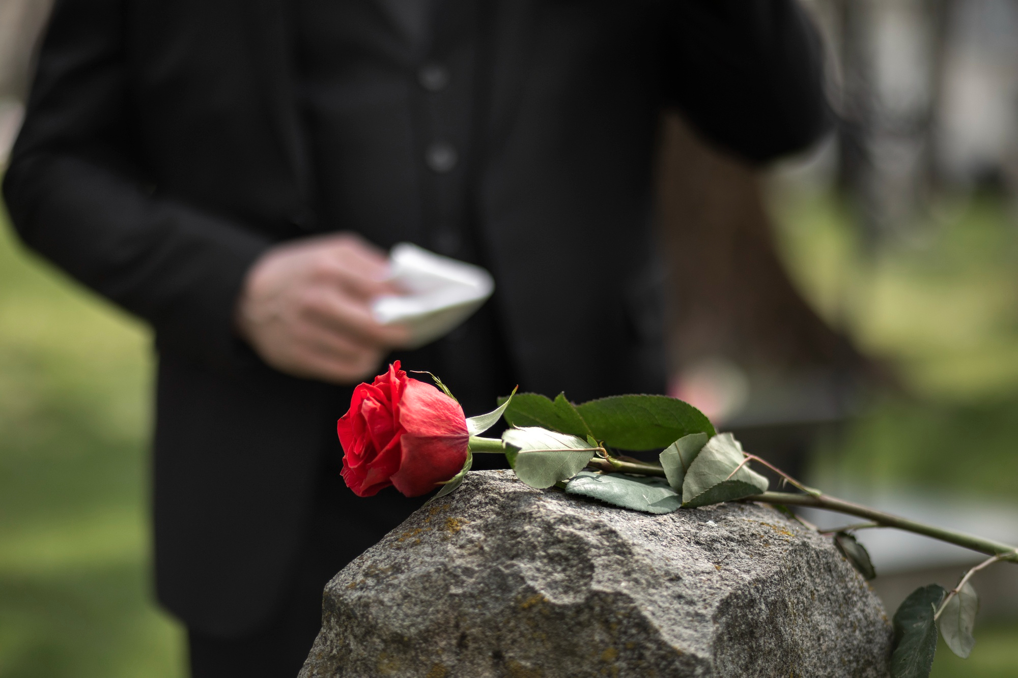 Une rose sur une pierre tombale | Source : Freepik