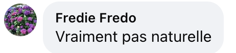 Commentaire d'internaute sur la vidéo d'Arielle Dombasle et Bernard-Henri Lévy | Source : capture Facebook@Arielle Dombasle