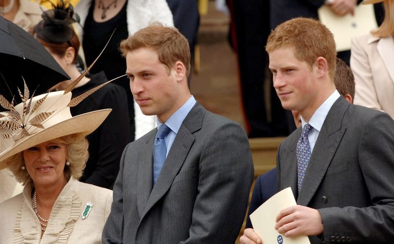 Camilla Parker-Bowles, duchesse de Cornouailles, le prince William et le prince Harry sur les marches de la chapelle Saint-Georges, à Windsor, après la cérémonie d'action de grâces organisée à l'occasion du 80e anniversaire de la reine, le 23 avril 2006 | Source : Getty Images