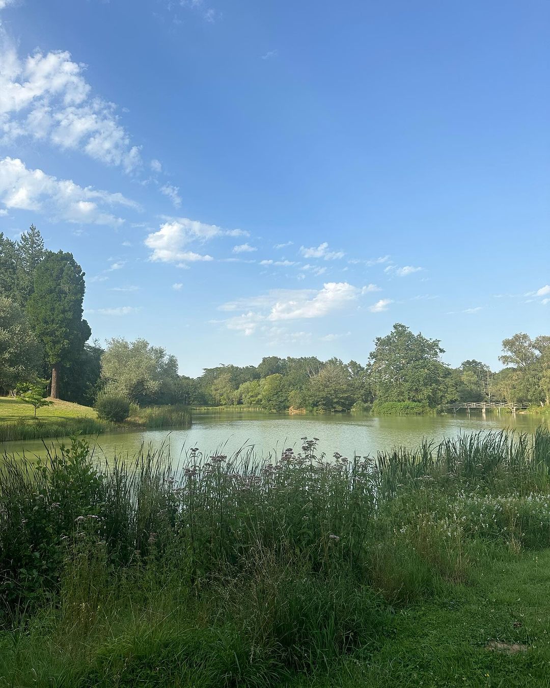 Intérieur de la propriété d'Alain Delon, La Brulerie, à Douchy, dans le centre de la France, d'après un post Instagram, daté du 1er août 2024. | Source : Instagram/anouchkadelon/