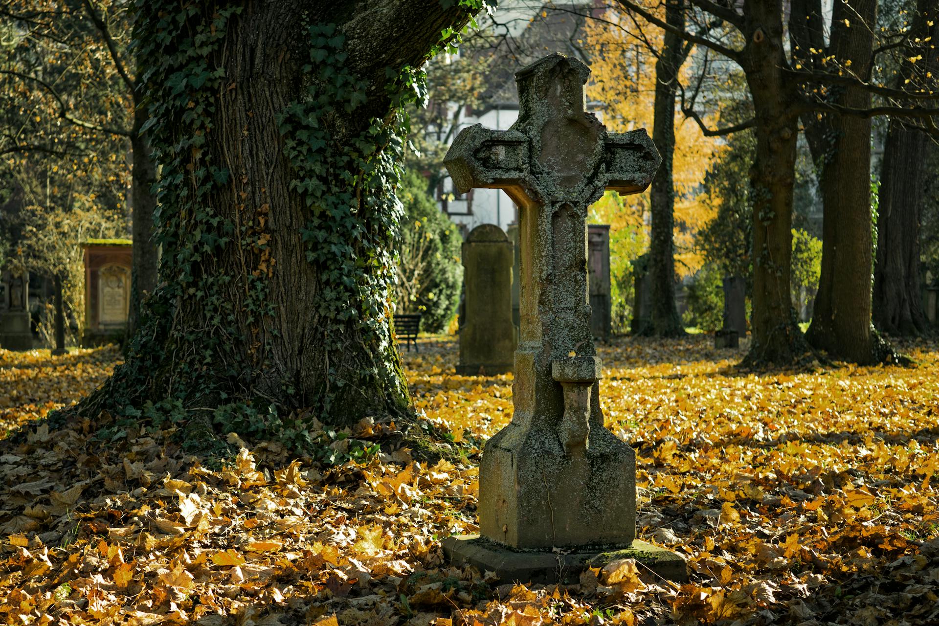 Une croix en béton dans un cimetière | Source : Pexels