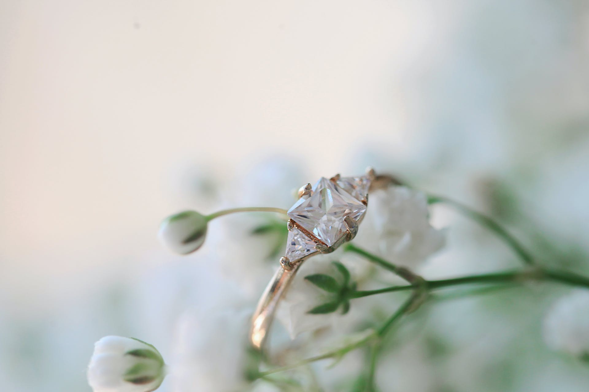 Un anillo clavado en una planta | Fuente: Pexels