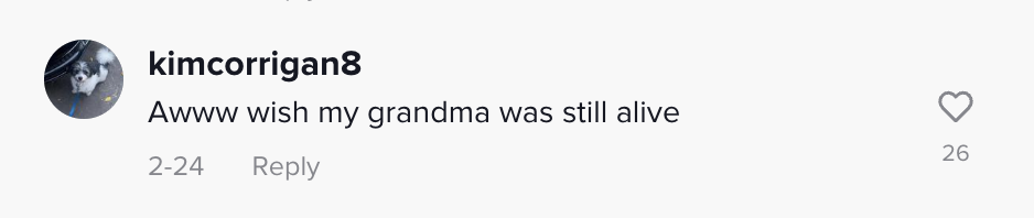 Commentaire d'un fan sur le message TikTok de Jayden Shatzer racontant comment sa grand-mère a économisé pour sa robe de bal le 24 février 2023 | Source : TikTok/luvjaydens