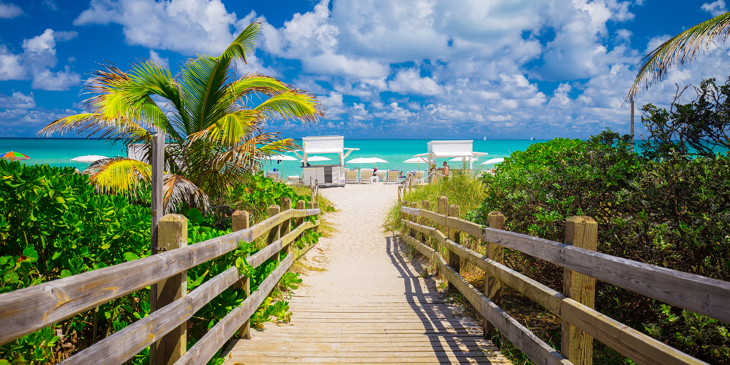 Un sentier menant à une plage | Source : Shutterstock