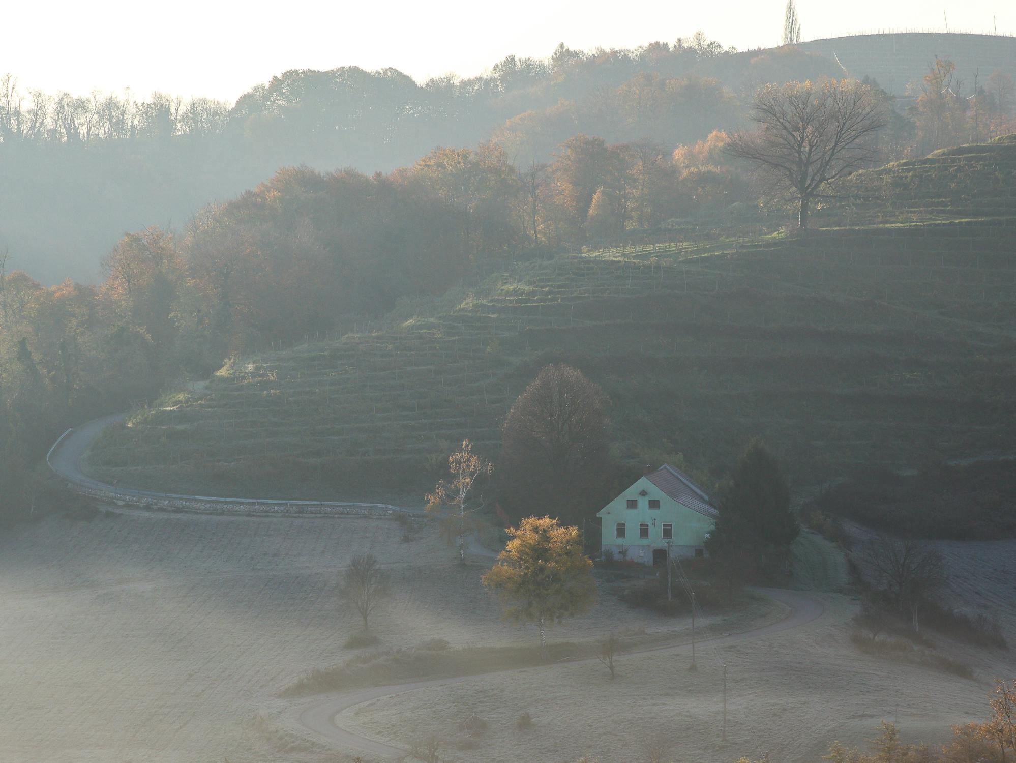 Un matin d'automne brumeux | Source : Pexels