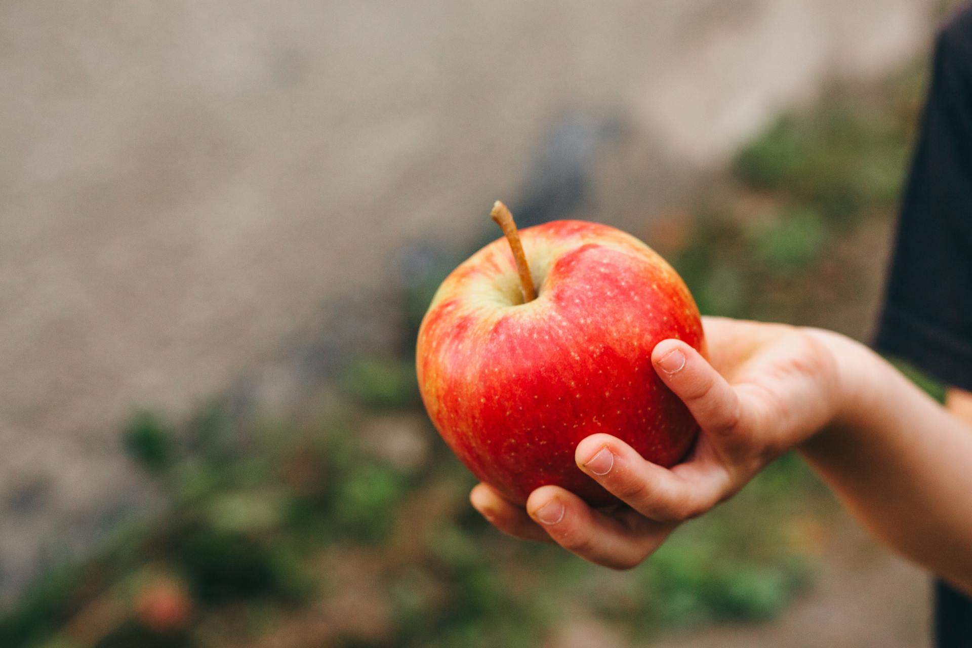 Une pomme dans la main d'un enfant | Source : Pexels