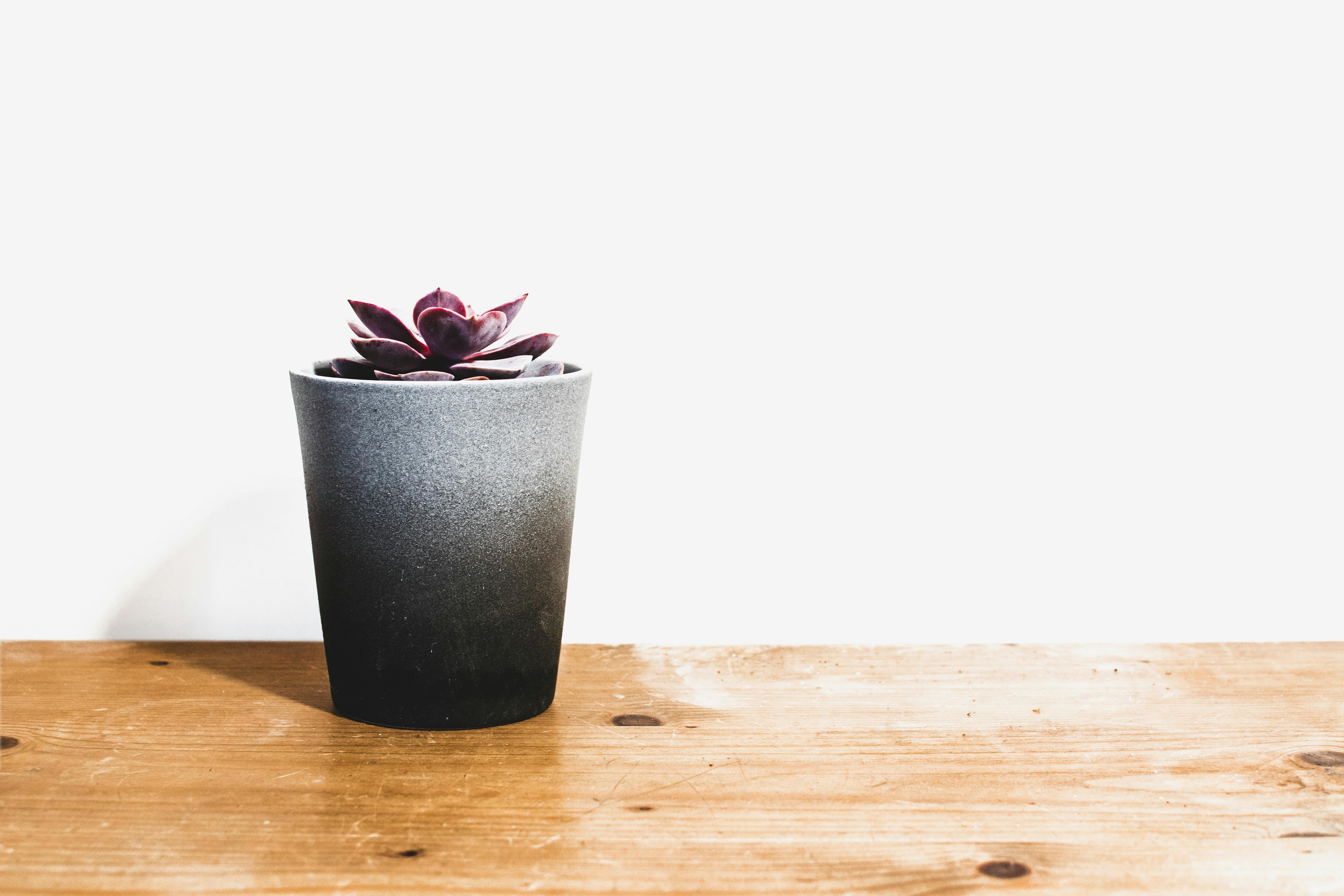 À des fins d'illustration uniquement. | Source : Pexels
