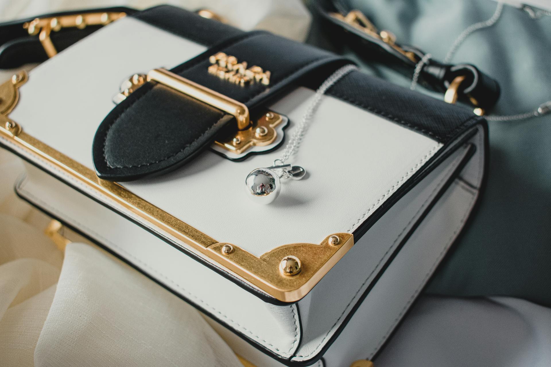 Gros plan sur un sac | Source : Pexels